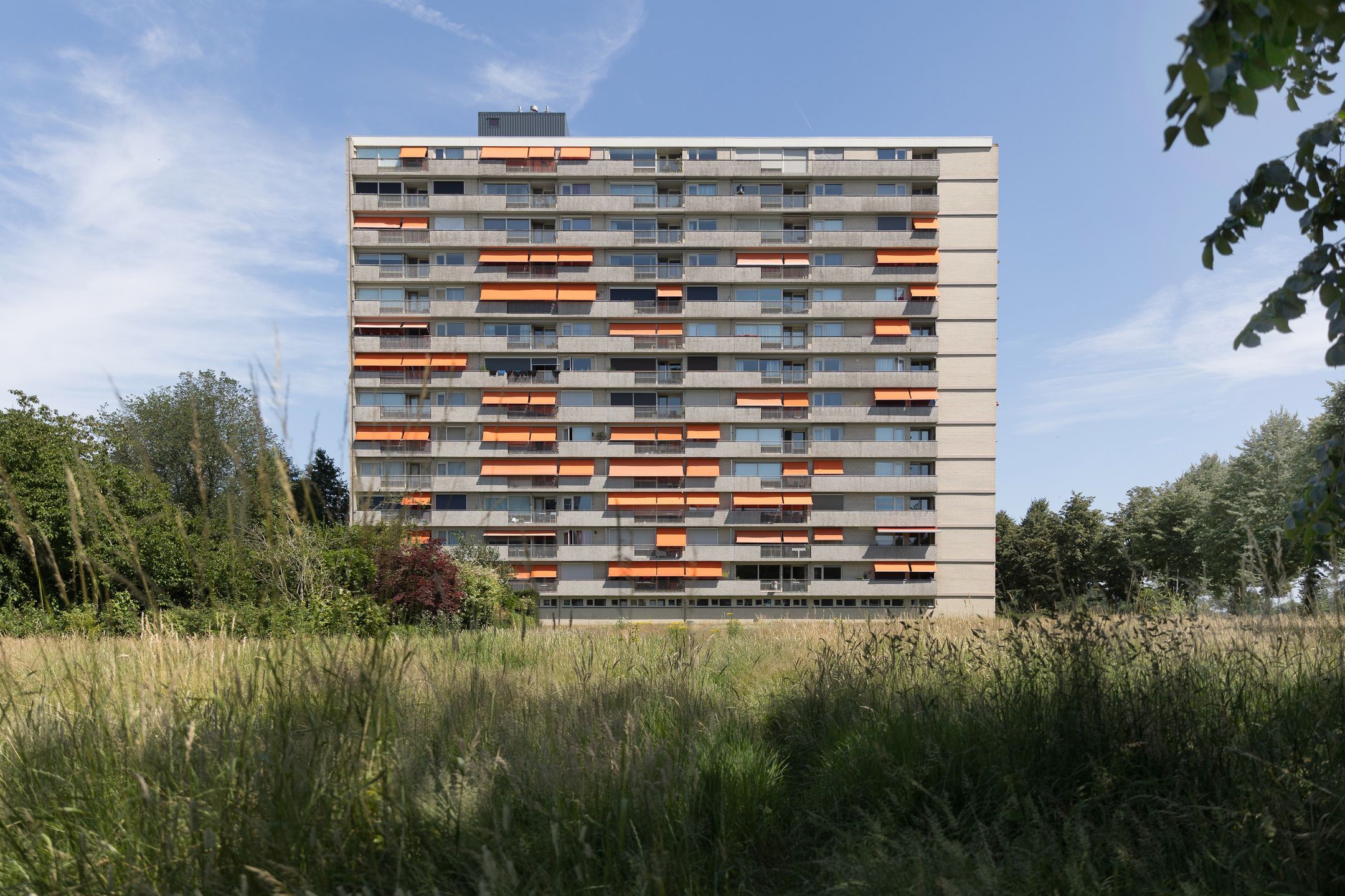 Foto van Socrateslaan 119, Den Bosch
