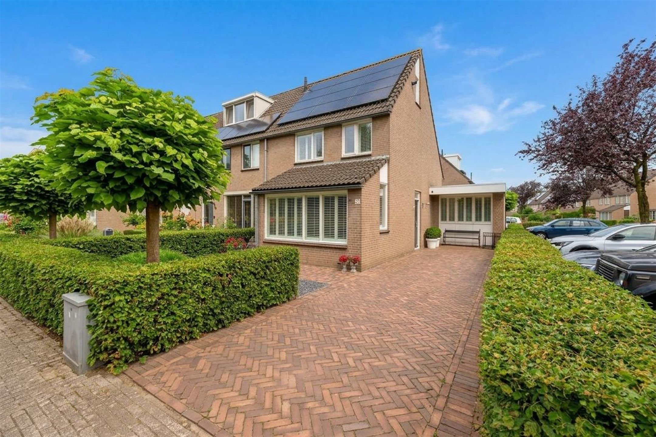 Foto van Kokmeeuw 21, Den Bosch