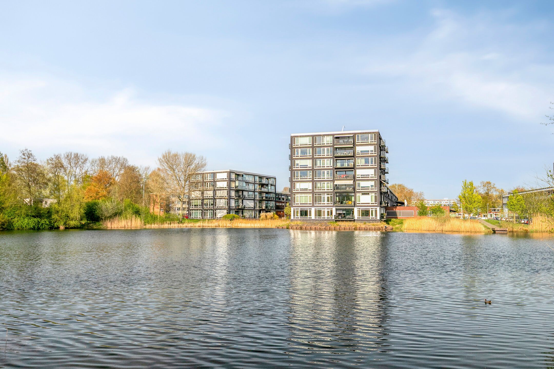 Foto van Bosboompad 21, Rosmalen