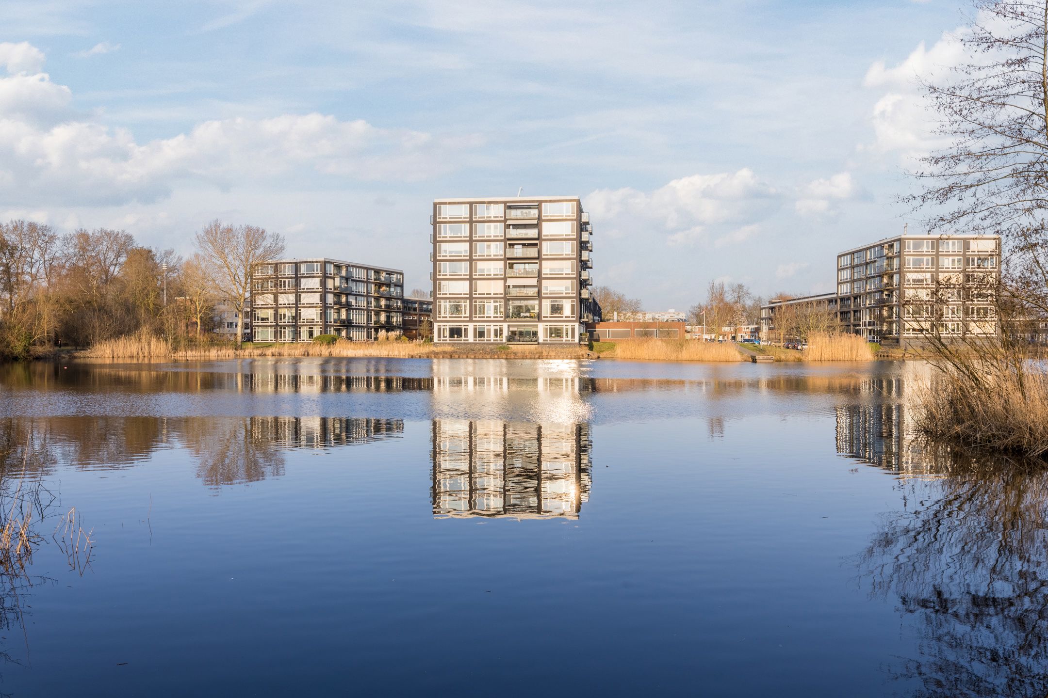 Foto van Bosboompad 55, Rosmalen