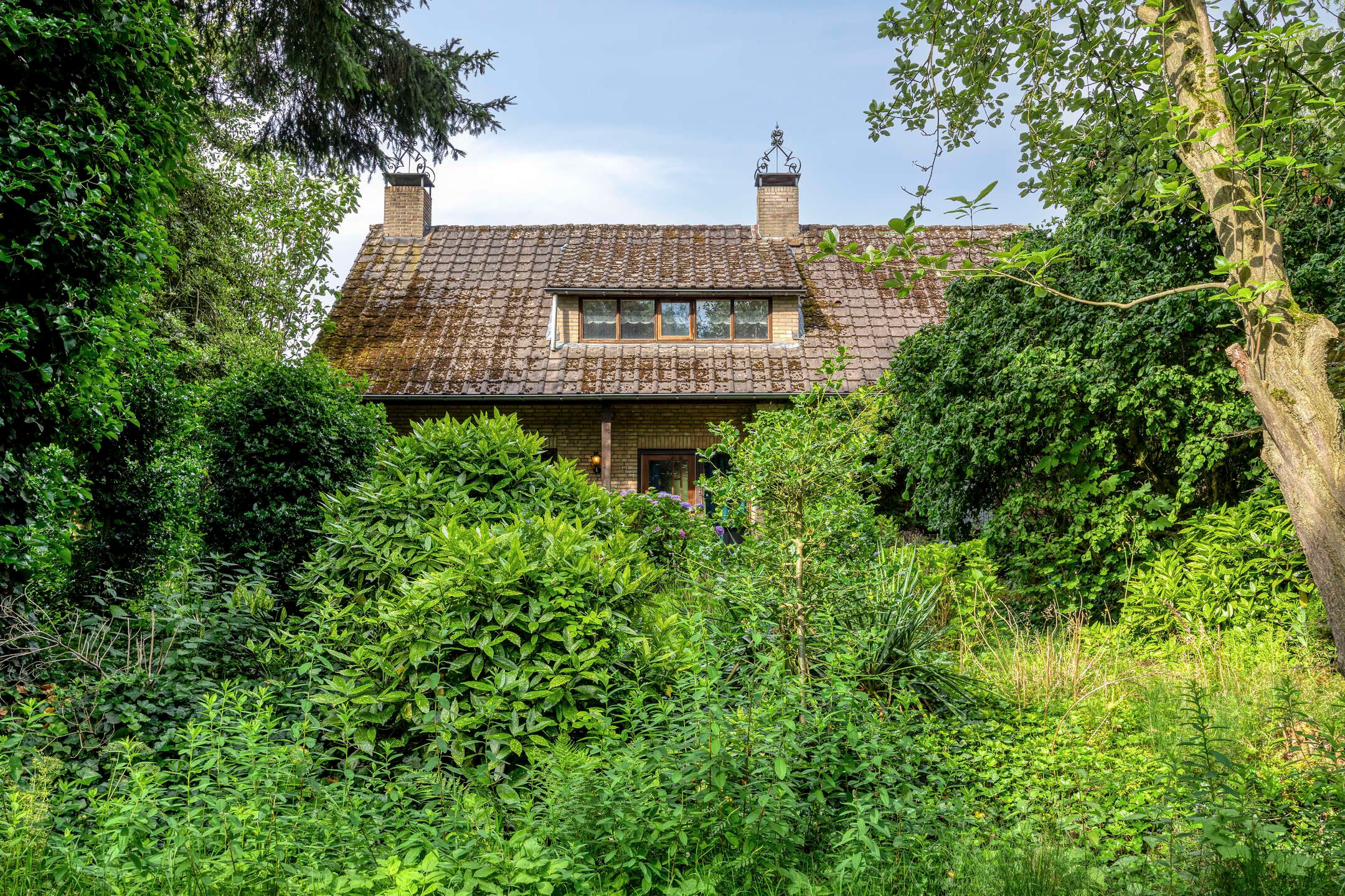 Foto van Besselaar 4, Gemonde