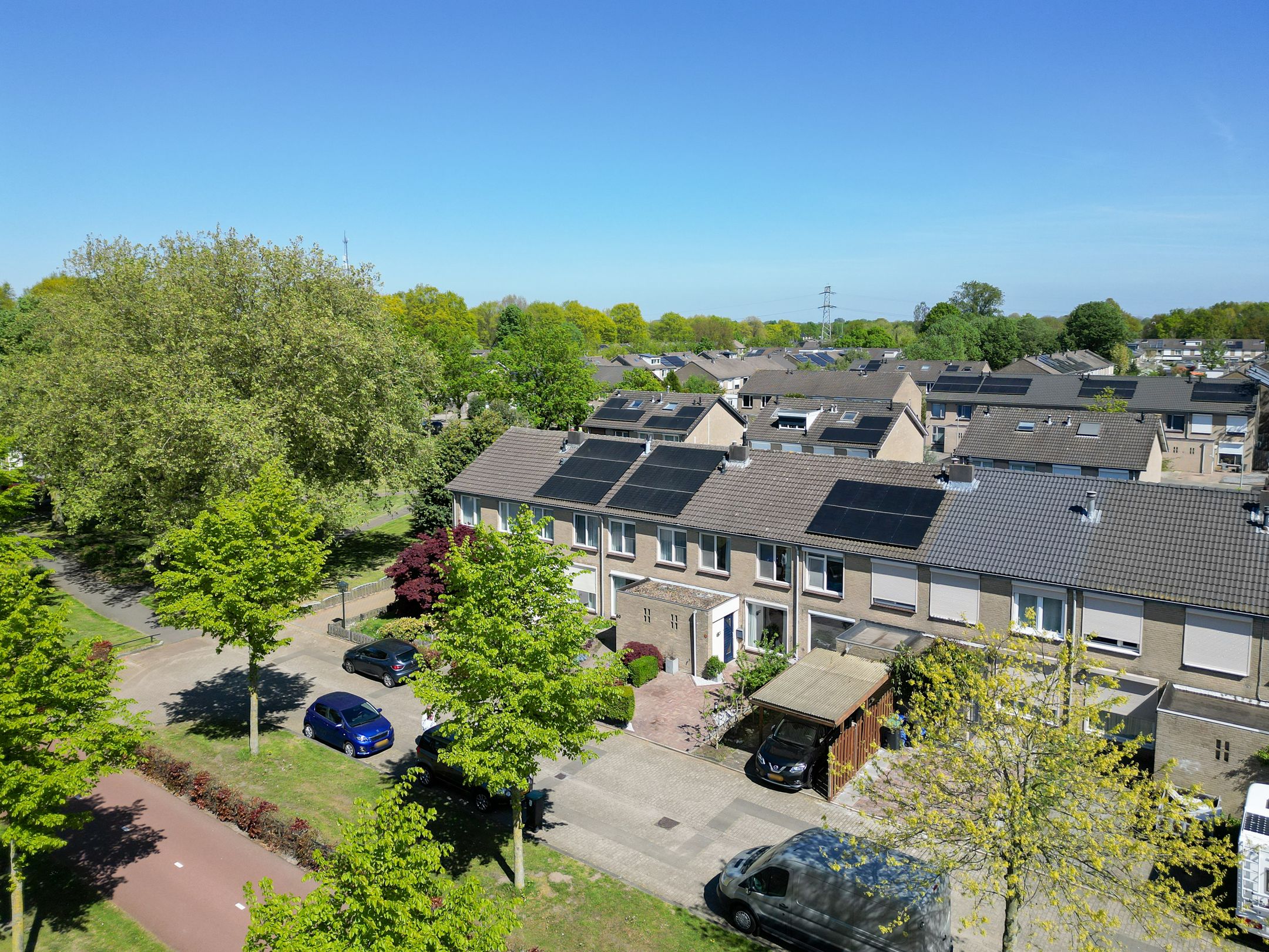 Foto van Goudplevier 58, Oss