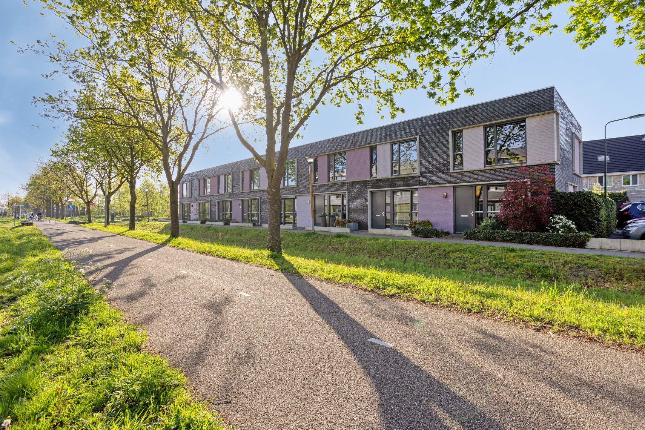 Foto van Paardenbloem 39, Berghem