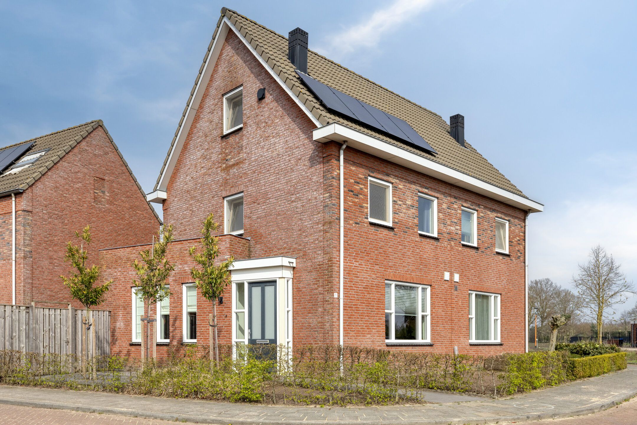 Foto van Dotterbloem 1, Boekel