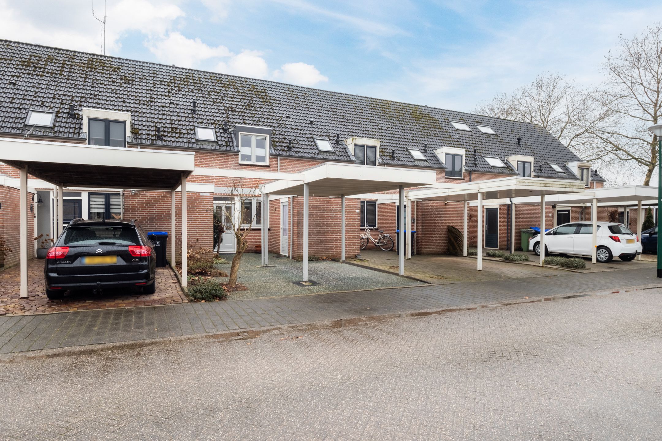 Foto van Penningkruid 91, Cuijk