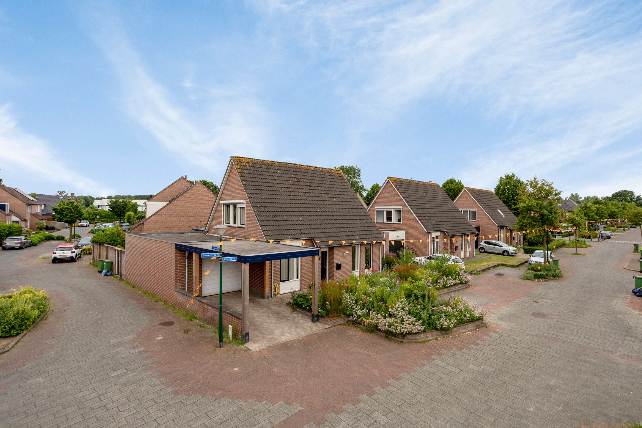 Foto van Edelhert 1, Sint Hubert