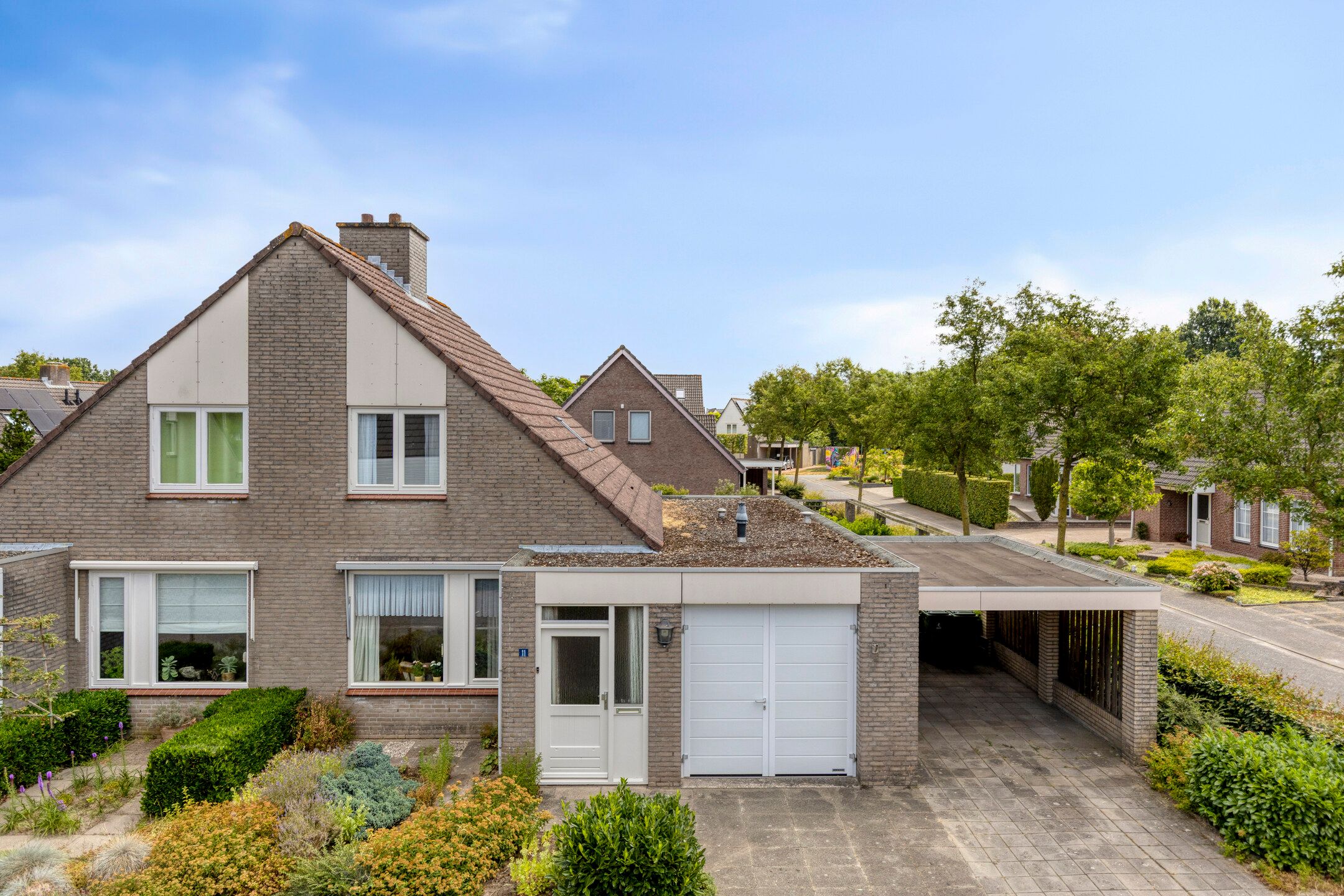 Foto van Pinksterbloem 11, Hapert