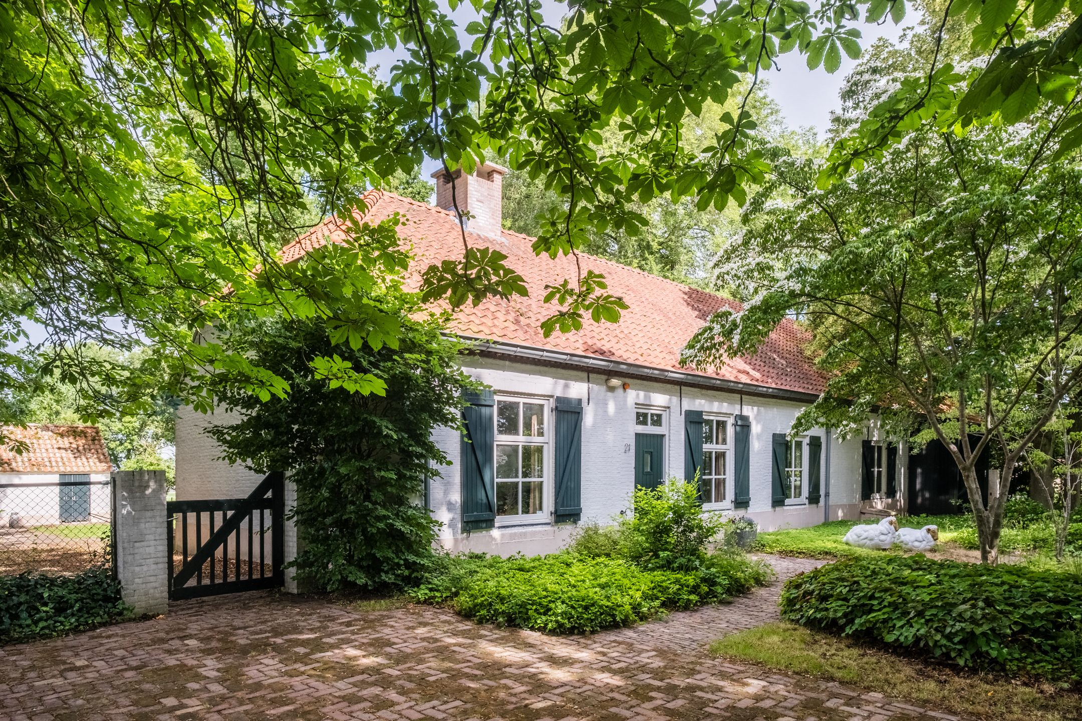 Foto van Landrop 21, Hoogeloon