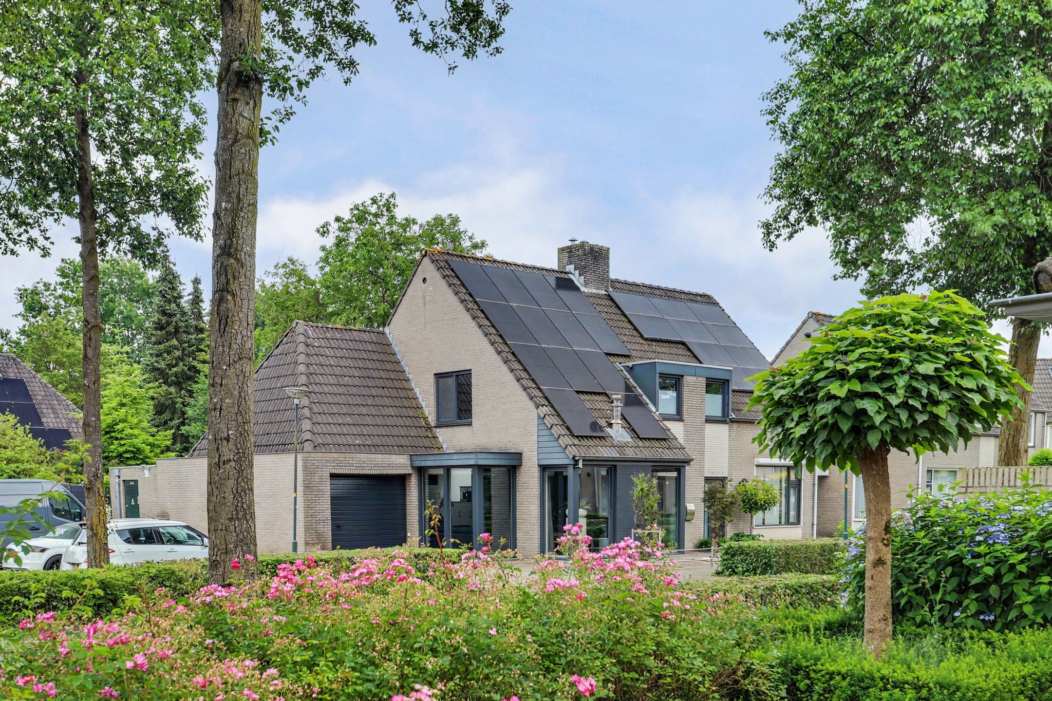 Foto van Helmkruid 2, Bladel