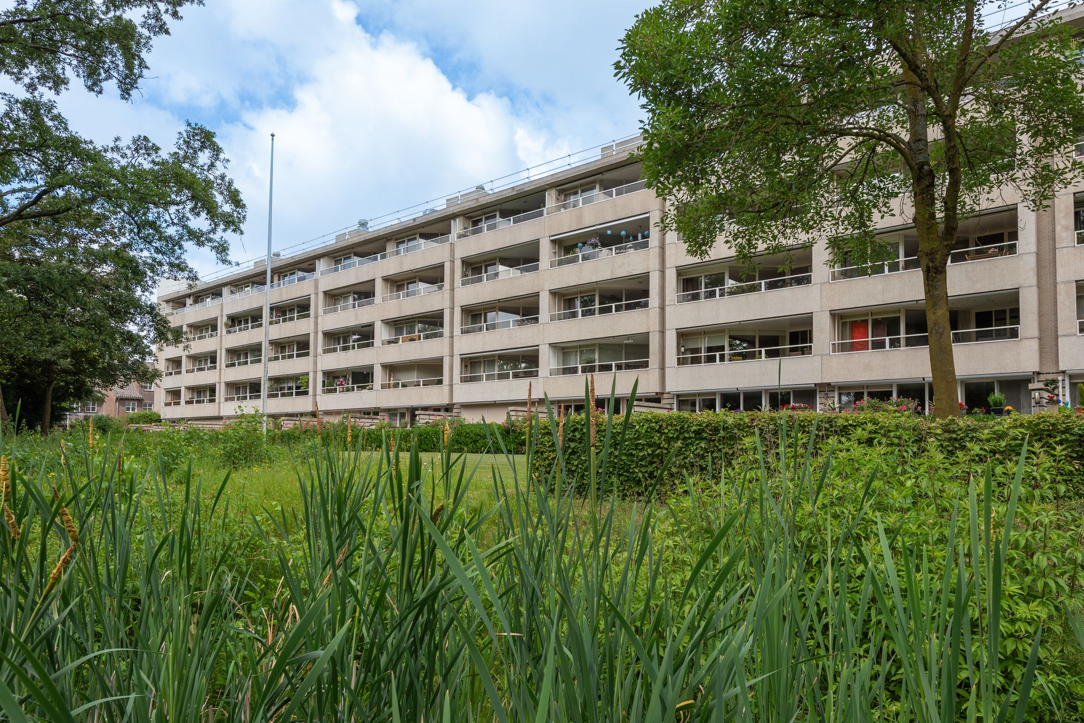 Foto van Groot Paradijs 91, Eindhoven