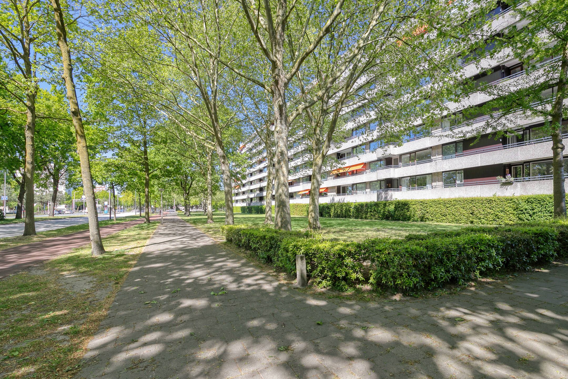 Foto van Amundsenlaan 243, Eindhoven