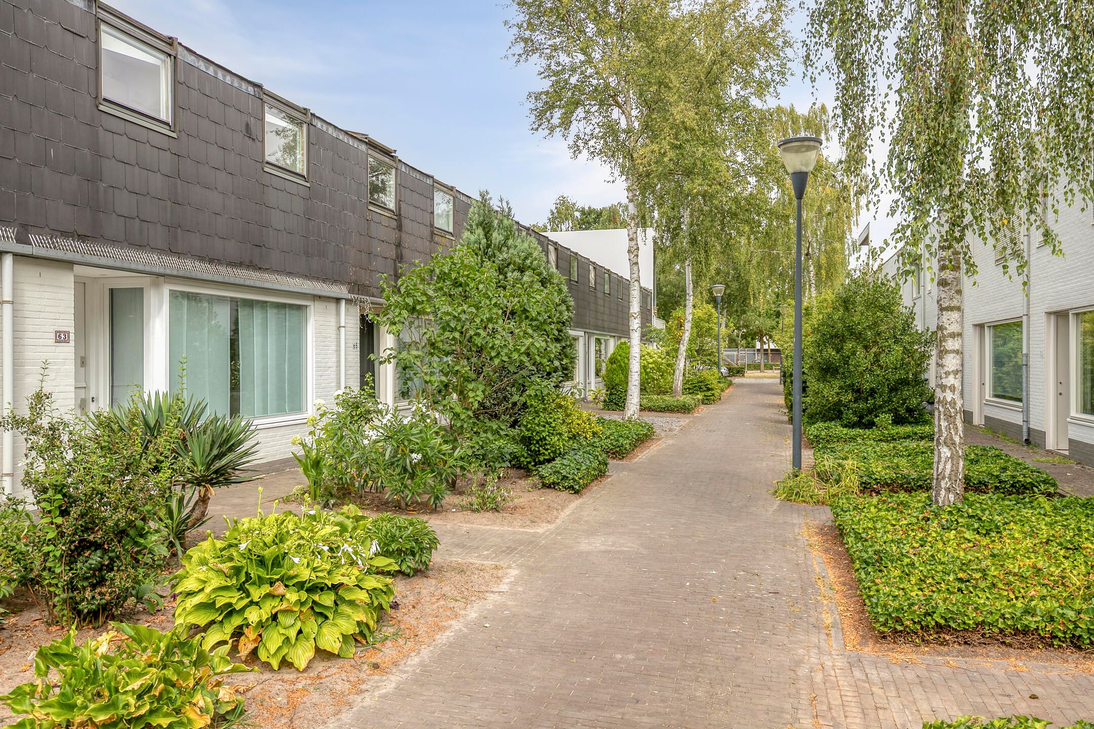 Foto van Zandtong 63, Eindhoven