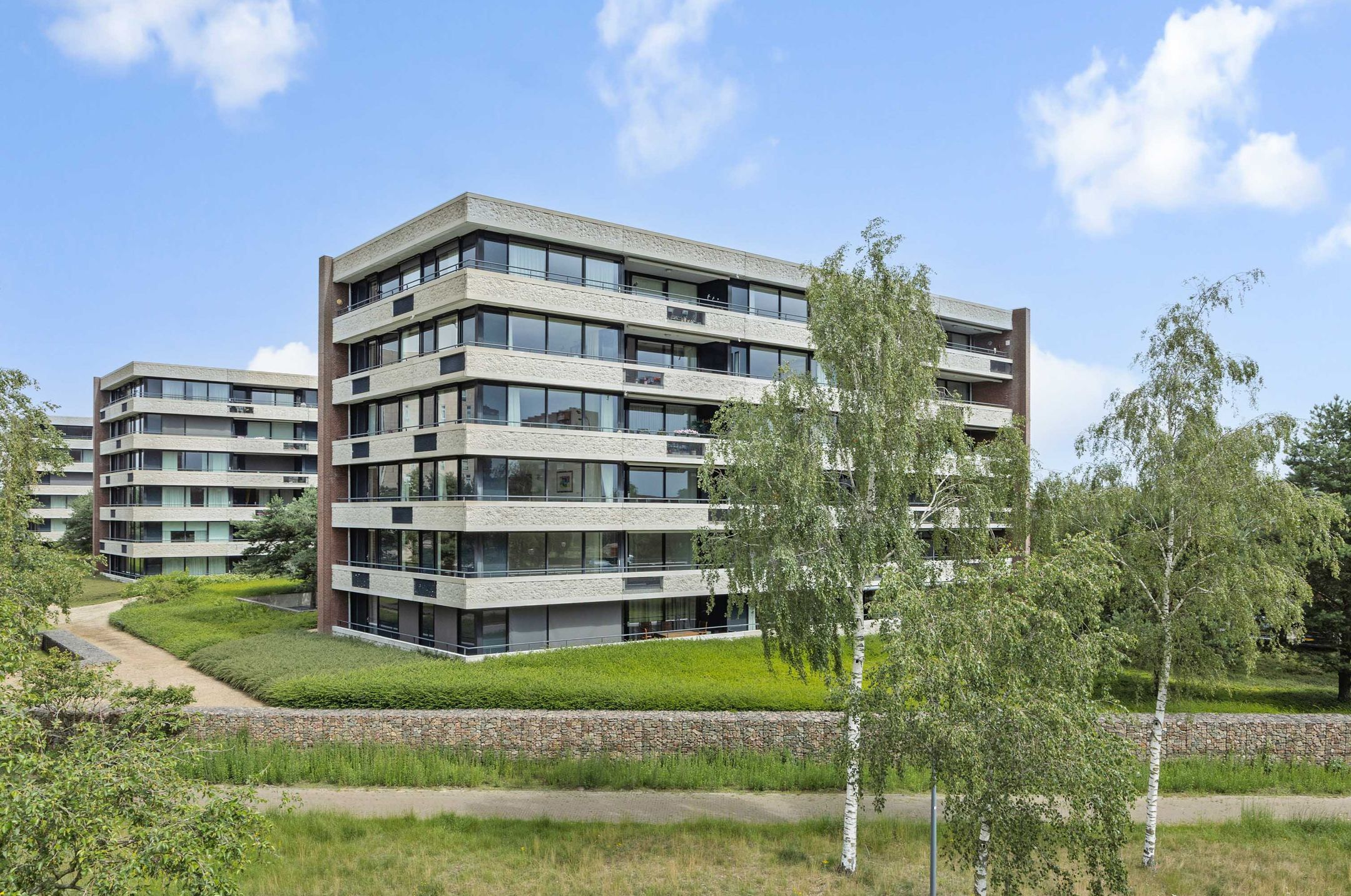 Foto van Zandbloem 11, Eindhoven