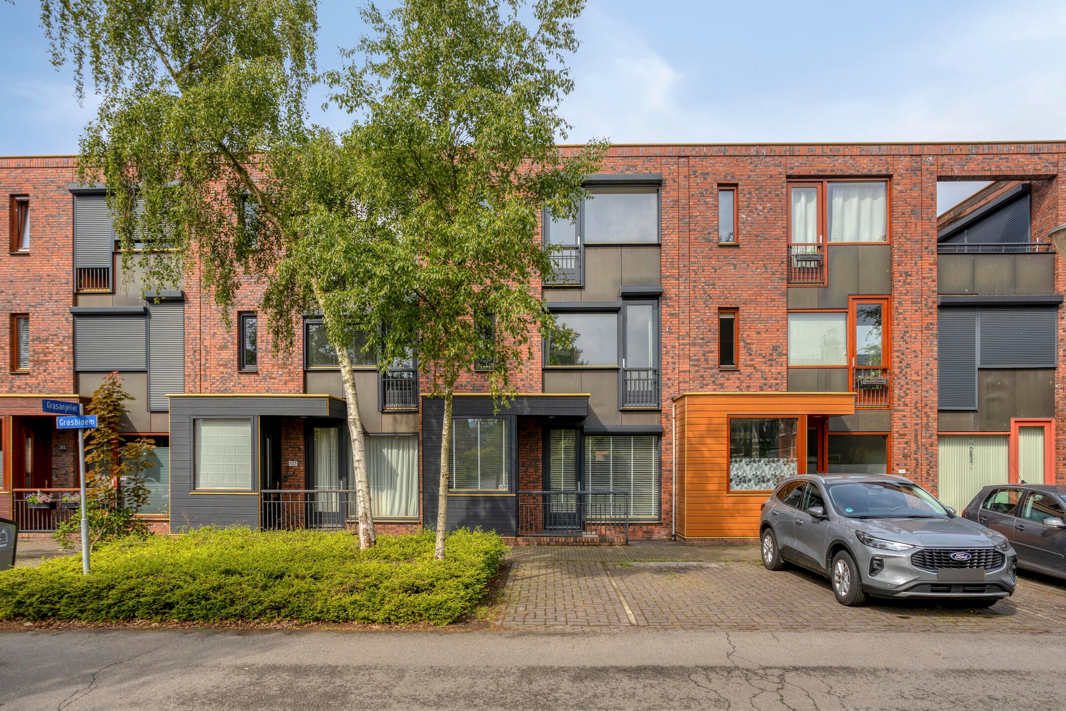 Foto van Grasbloem 109, Eindhoven