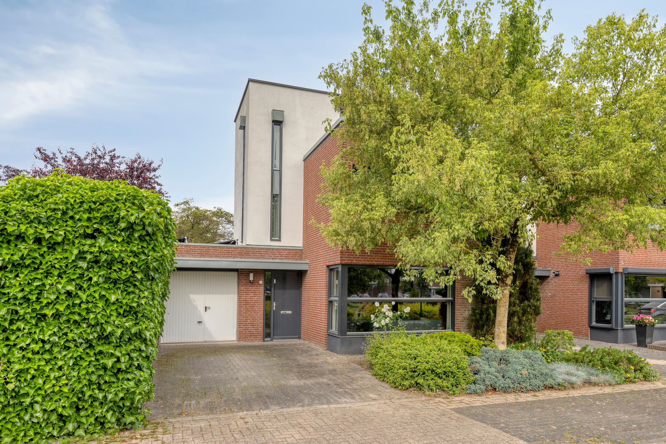 Foto van Sam Gewissies 1, Geldrop