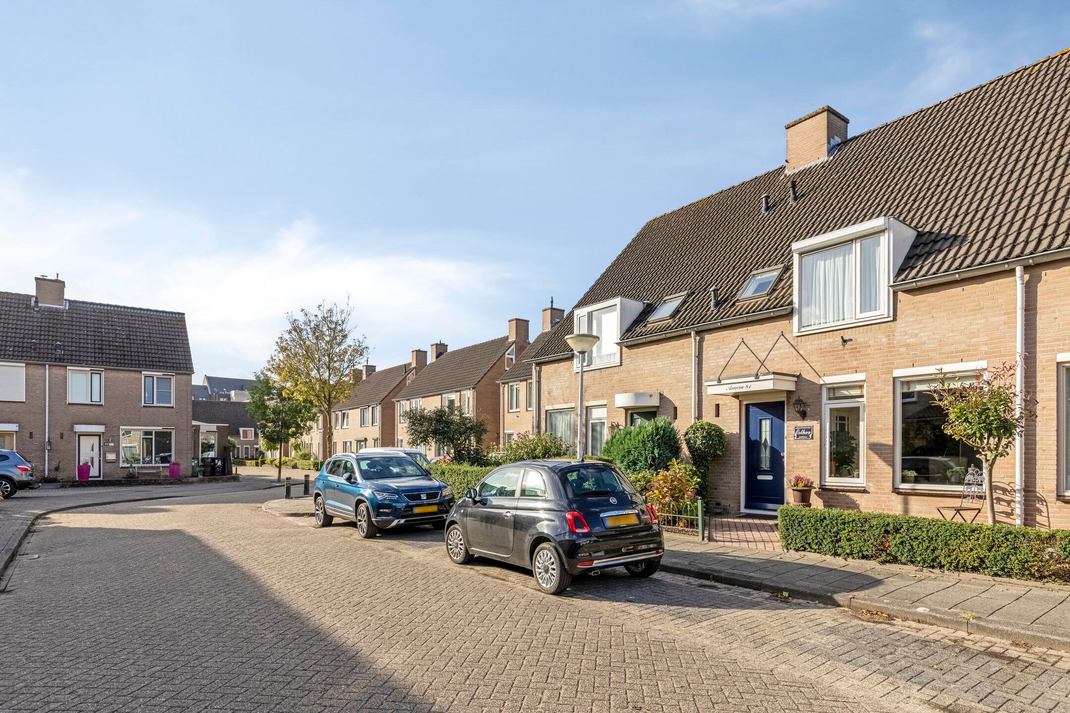 Foto van Acacia 81, Best