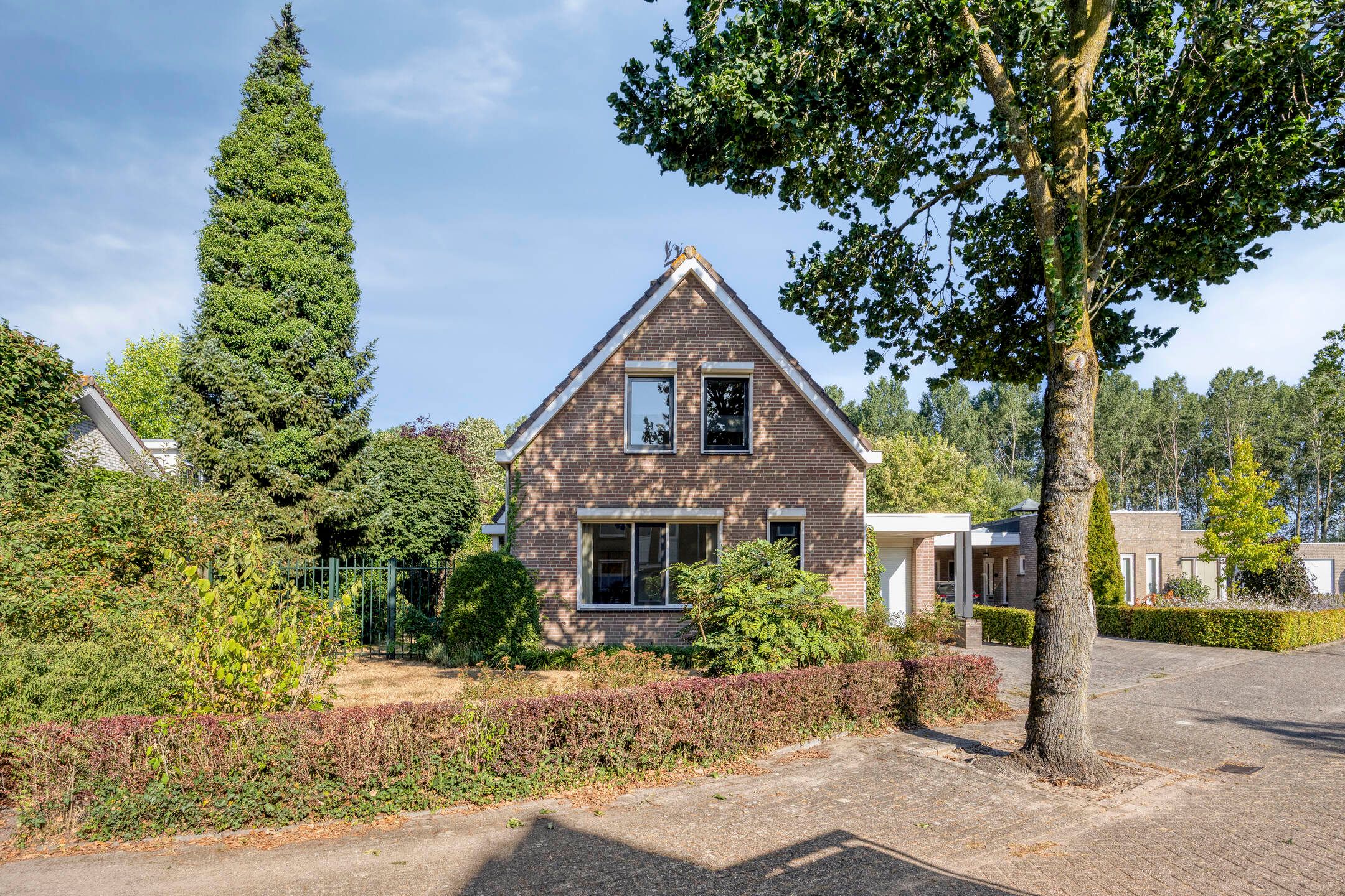 Foto van Iep 45, Best