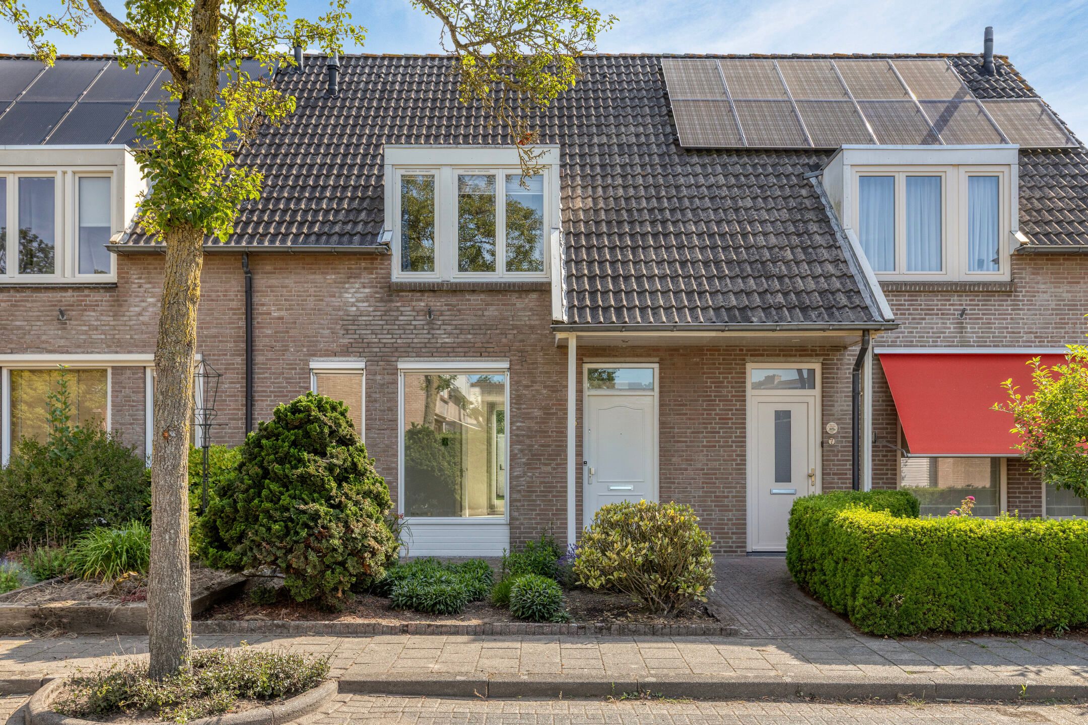 Foto van Duizendblad 5, Best