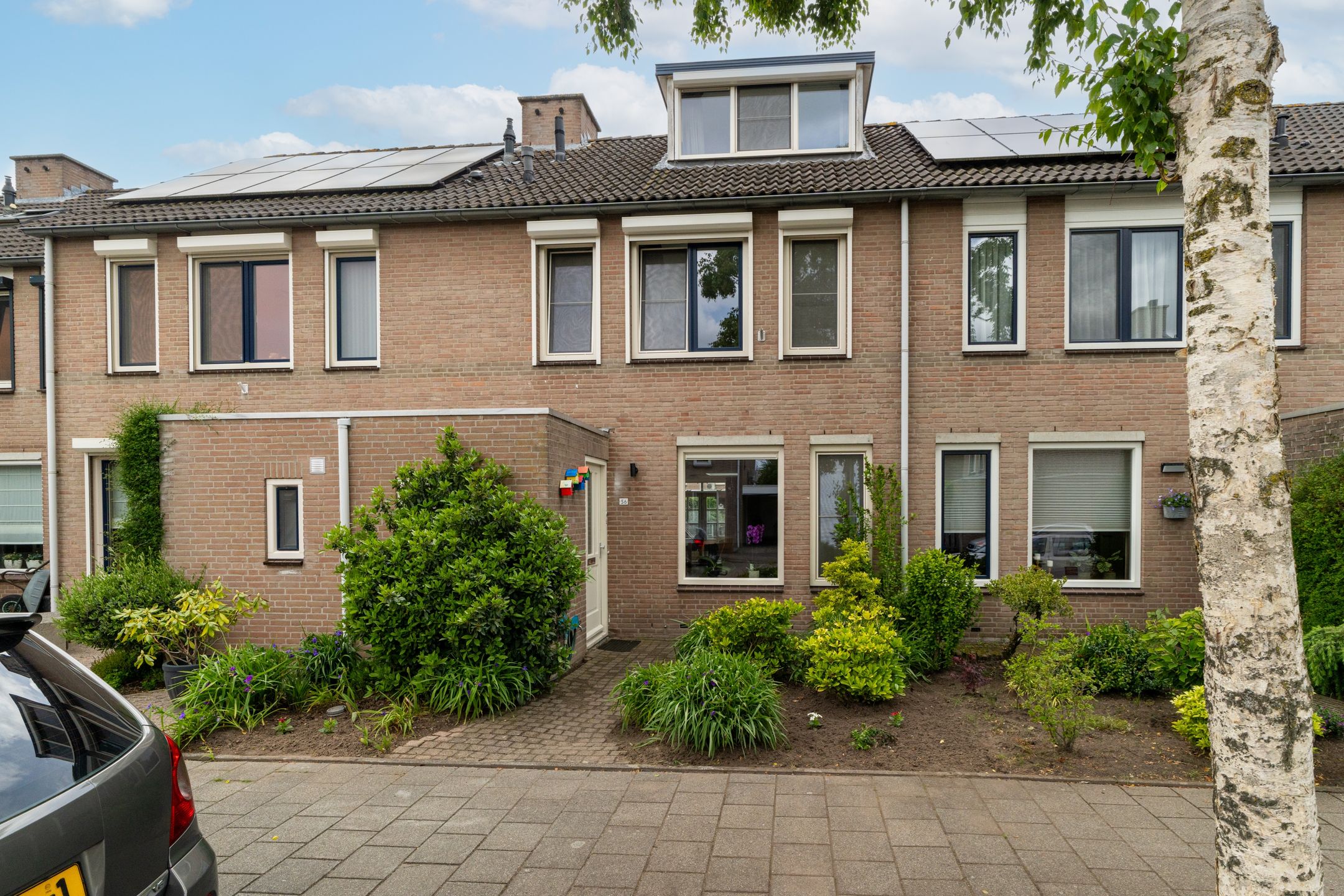 Foto van Hoefblad 56, Best