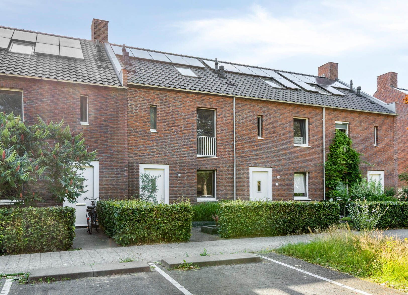 Foto van Zebrakever 26, Son en Breugel