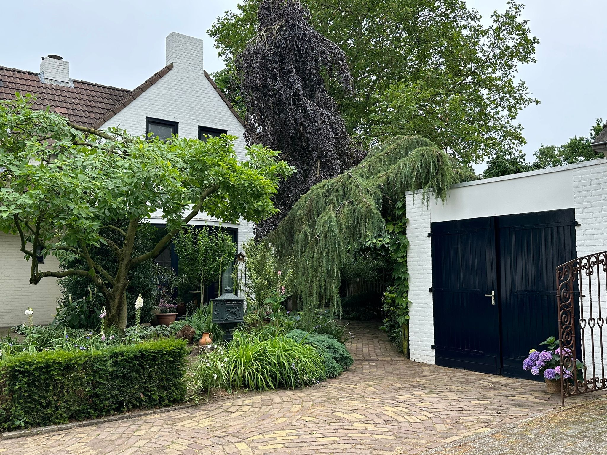 Foto van Berkelaar 23, Asten
