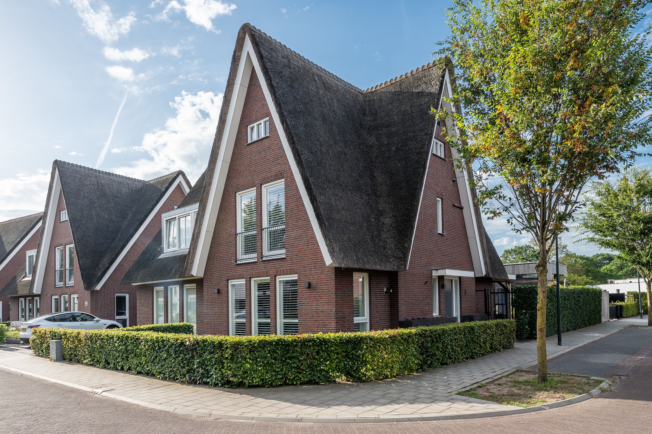Foto van Zandoogje 1, Mierlo
