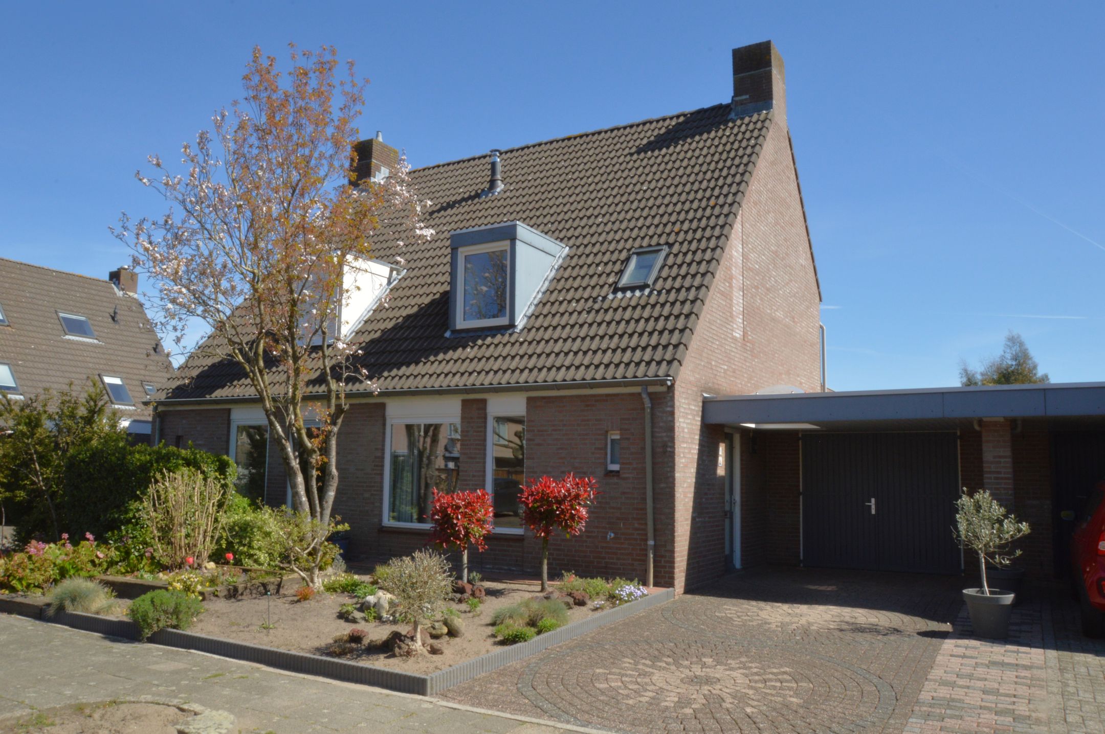 Foto van Blauwborst 3, Deurne