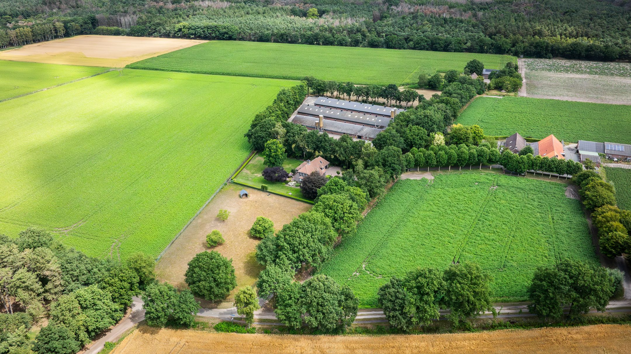 Foto van Kattevlaas 7, Milheeze