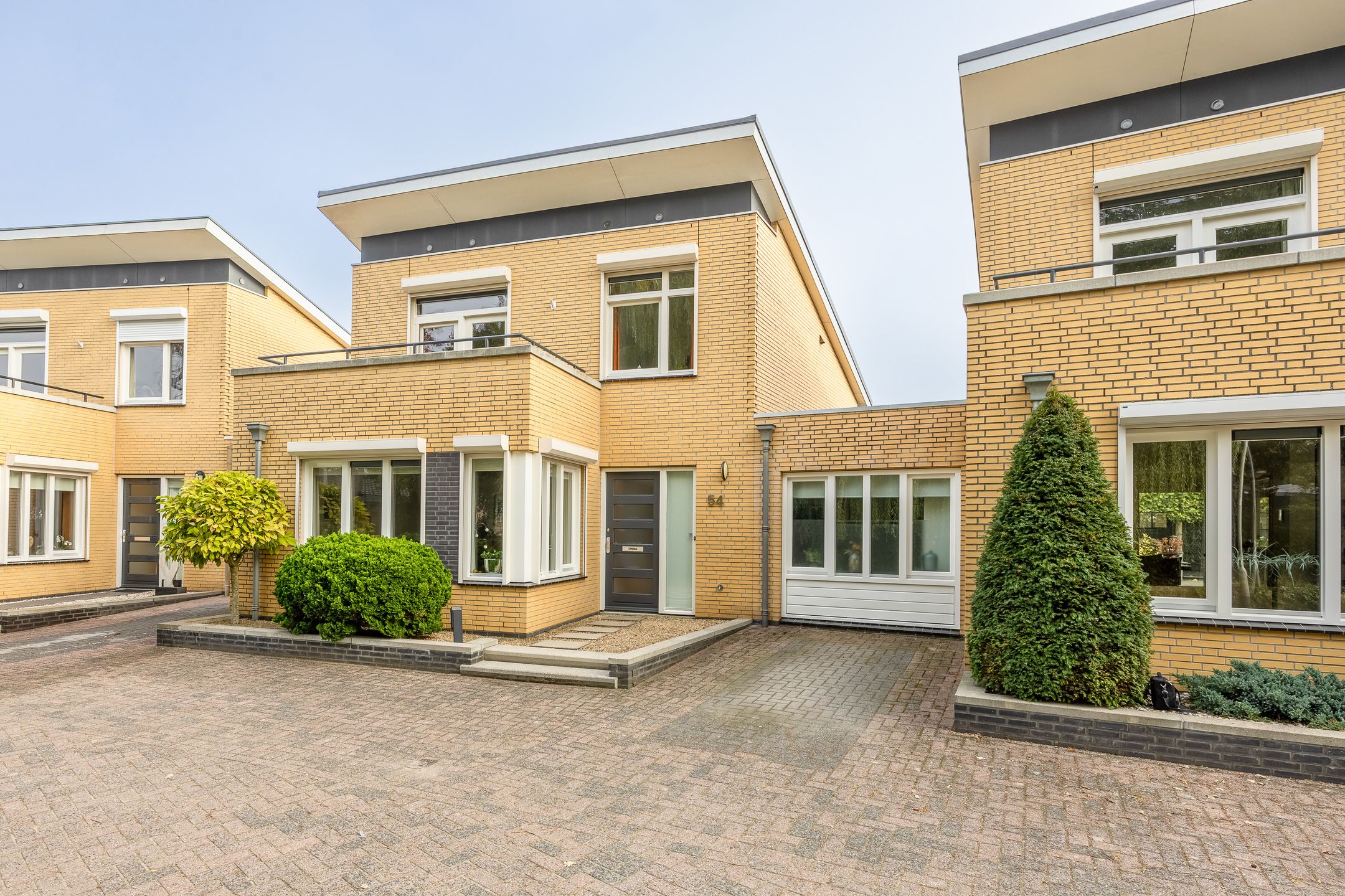 Foto van Fluitekruid 54, Venray