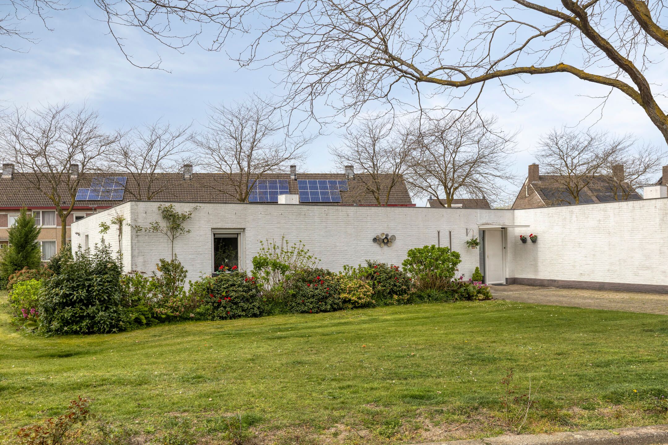 Foto van Penningkruid 32A, Venray