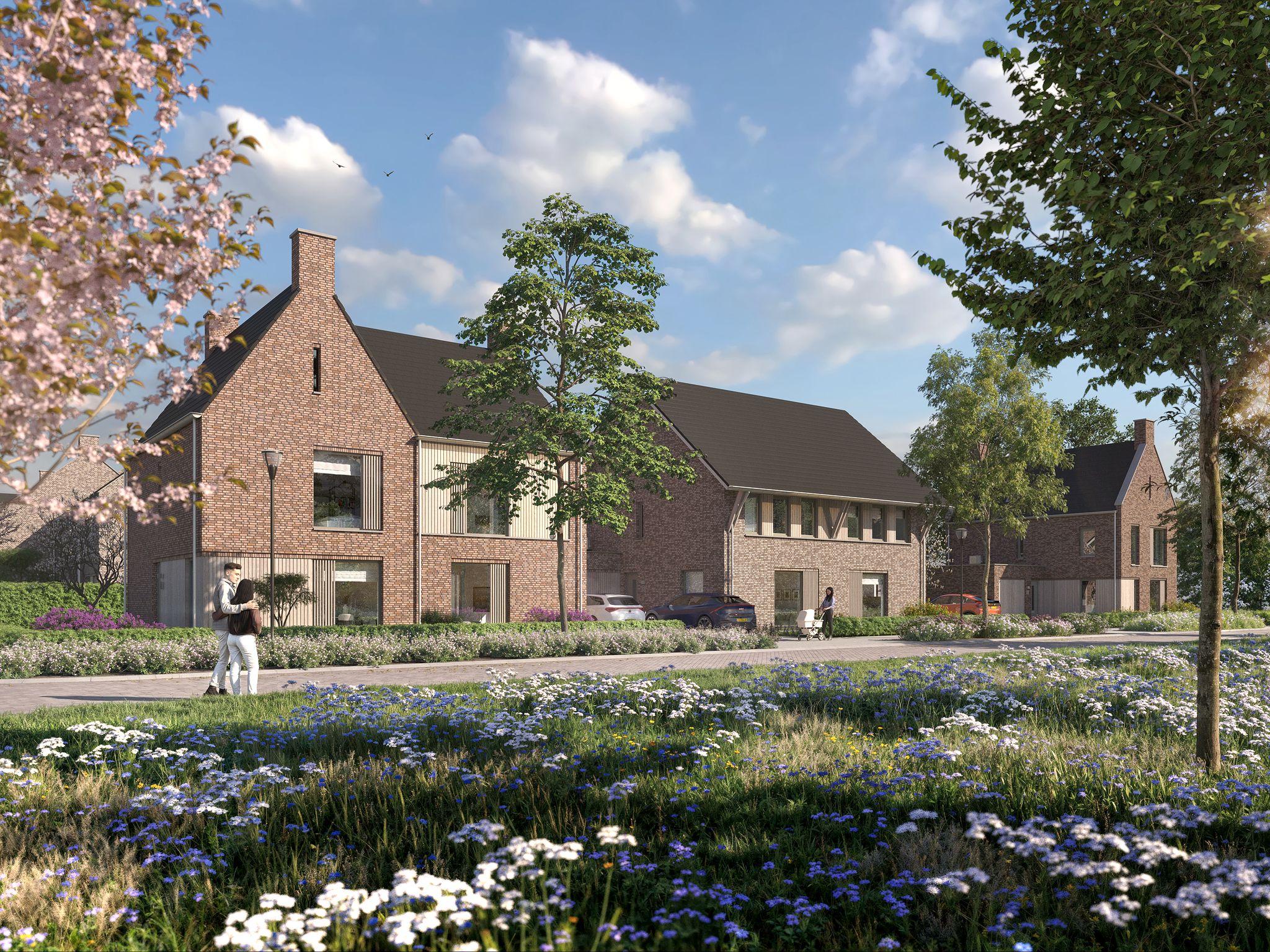 Foto van Blauw Campen 10, Sint Anthonis