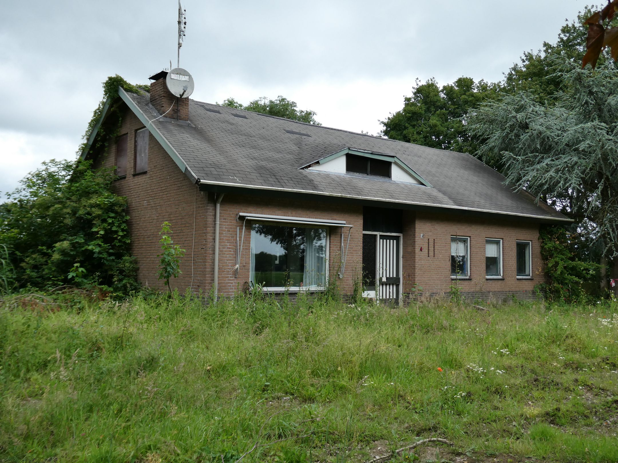Foto van Koekoek 4, Siebengewald