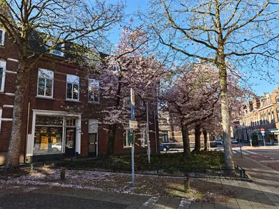 Foto van Herungerstraat 2, Venlo