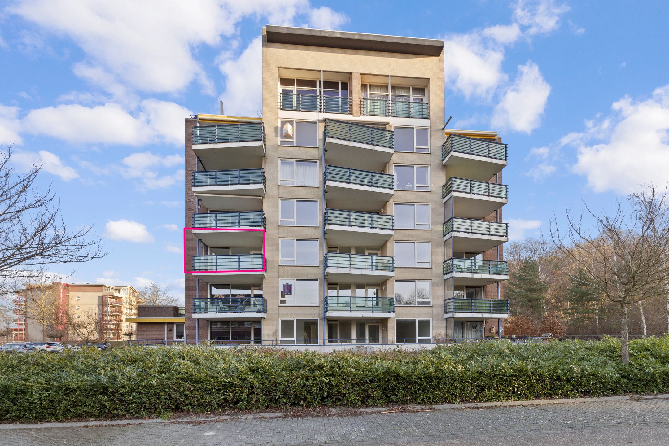 Foto van Veldzuring 111, Venlo