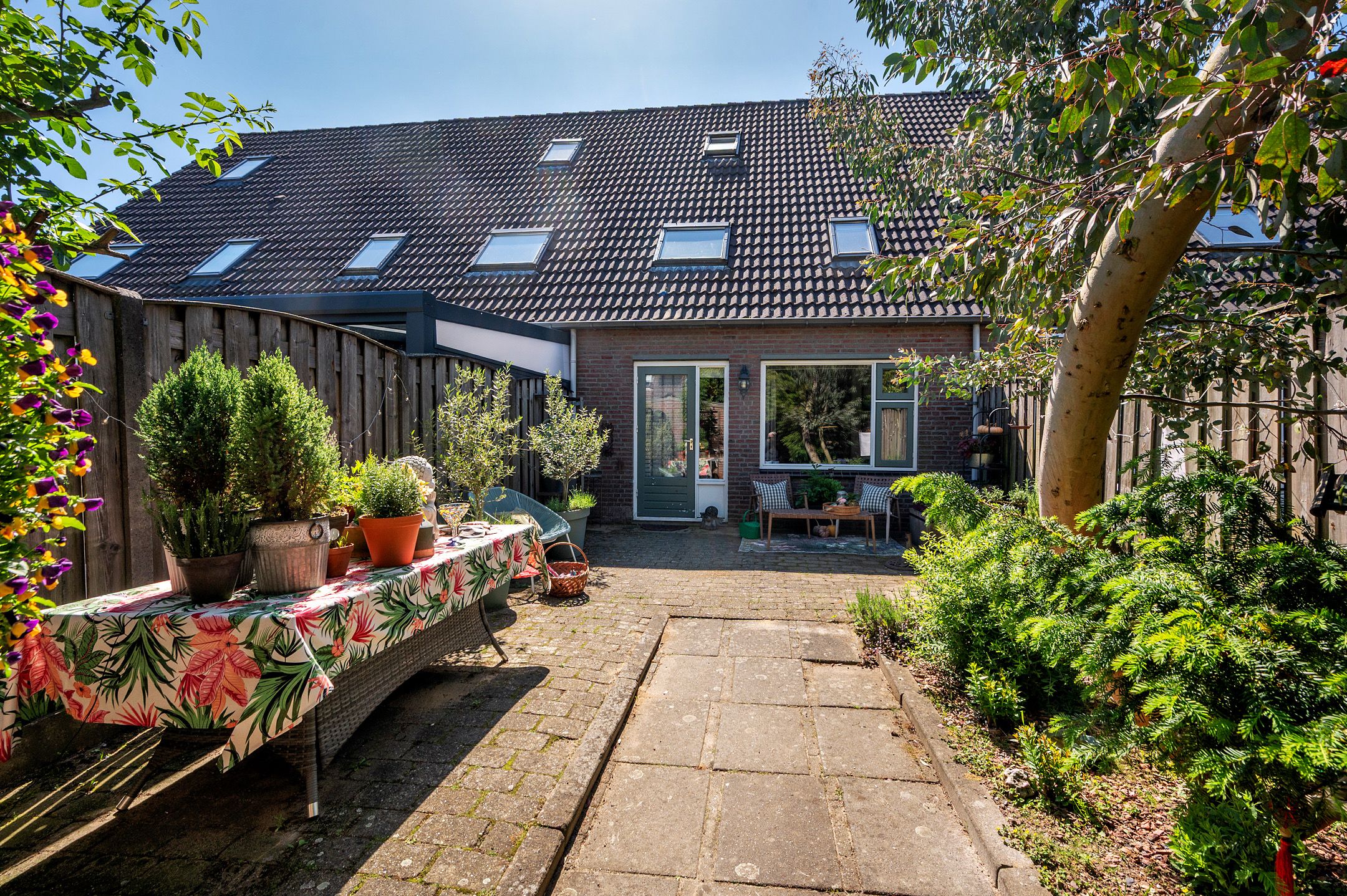 Foto van Haagbeuk 13, Venlo