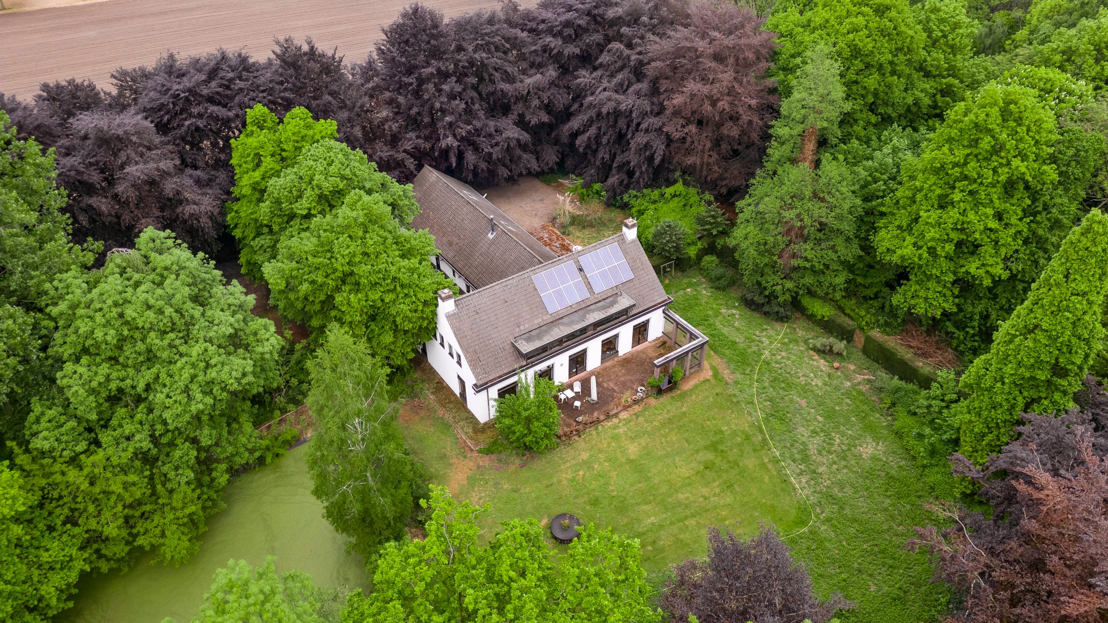 Foto van Veld-Oostenrijk 12, Horst