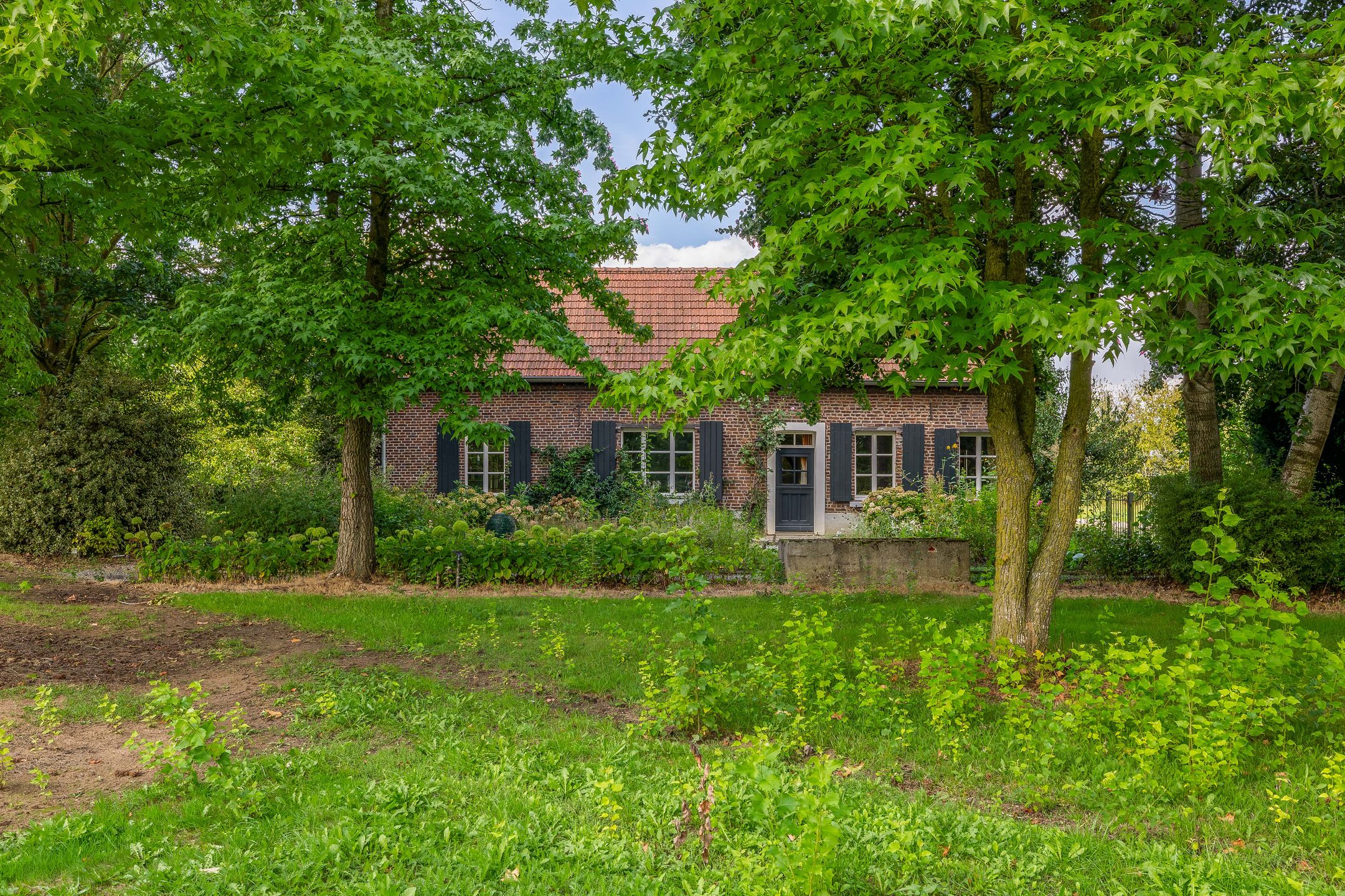 Foto van Hert 1, Baarlo (LI)