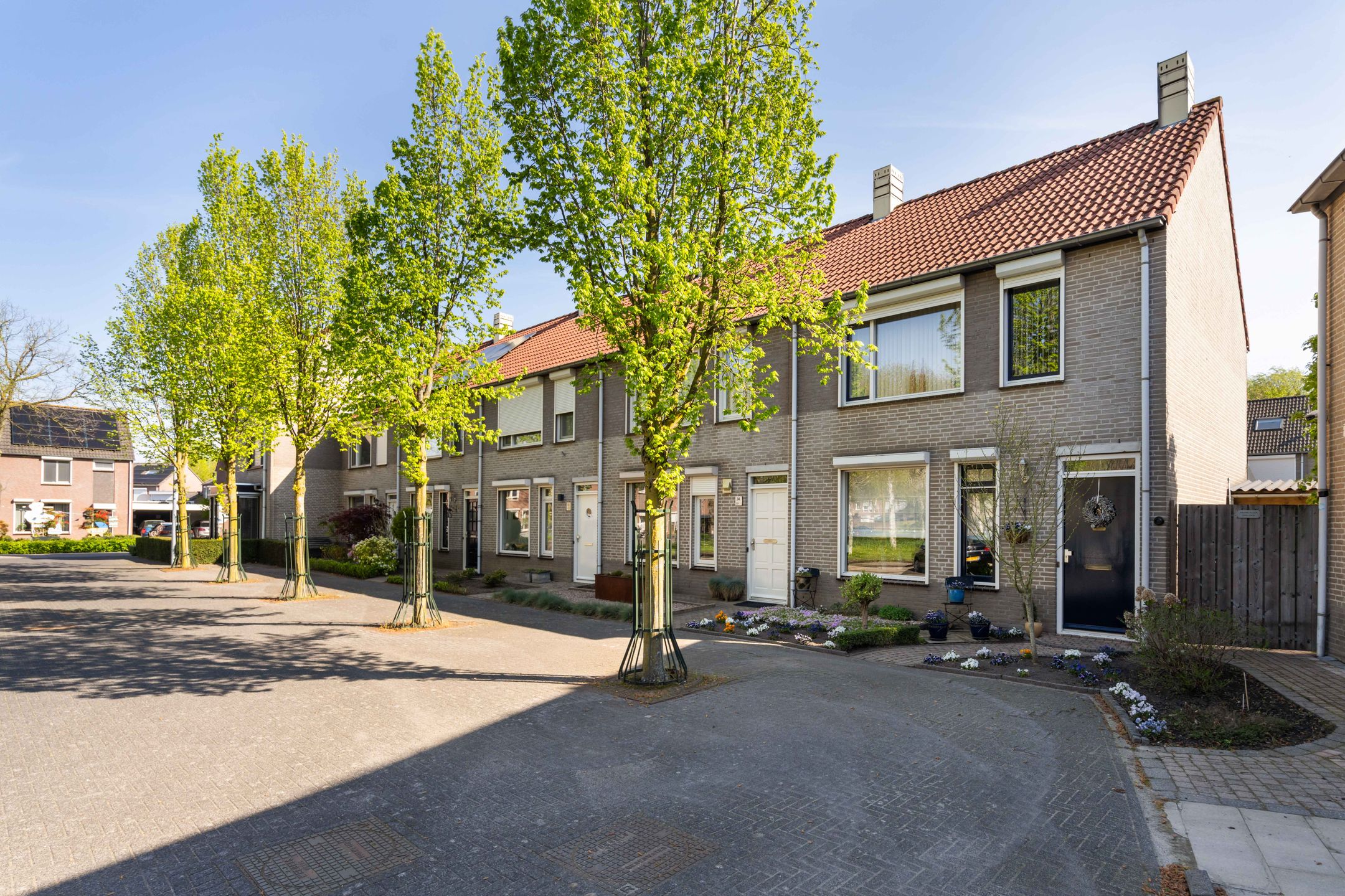 Foto van Kokmeeuw 32, Weert