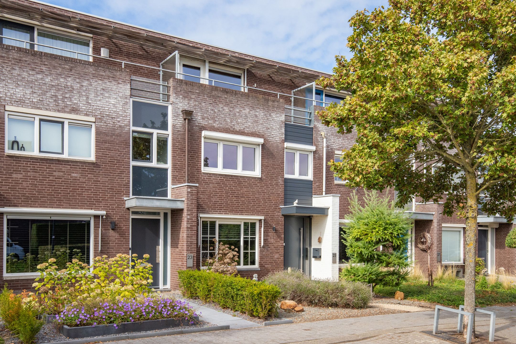 Foto van Vesta 25, Born