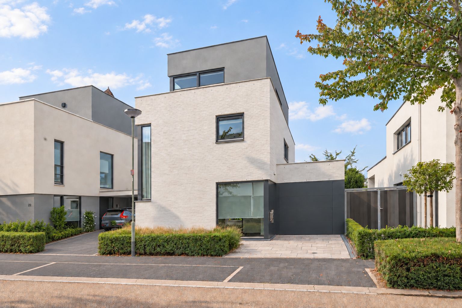 Foto van Gele Helmbloem 20, Eijsden