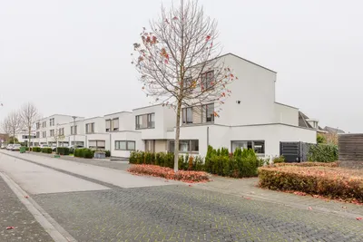 Foto van Pinksterbloem 20, Eijsden