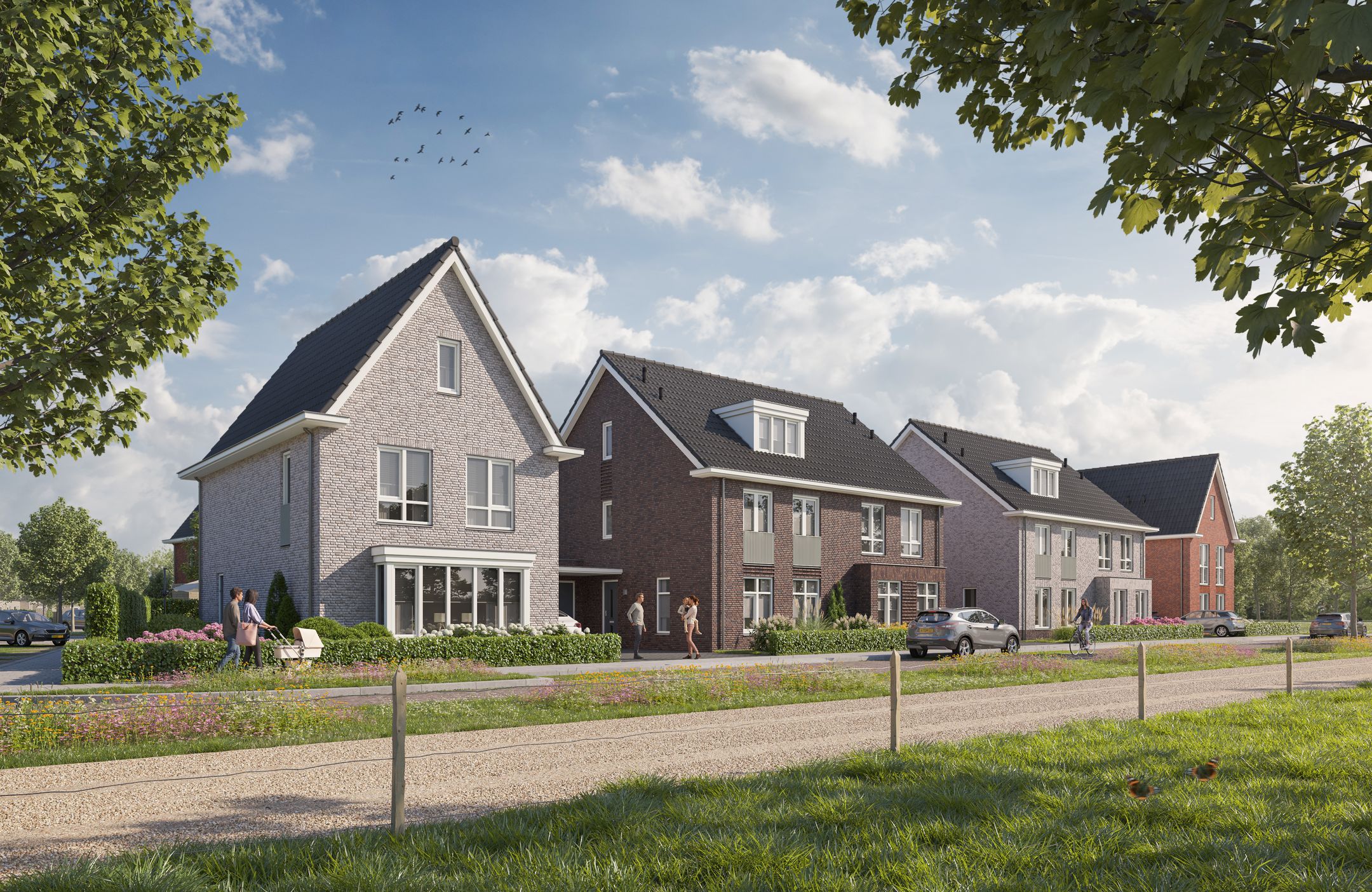 Foto van Rabarber 12, Molenhoek
