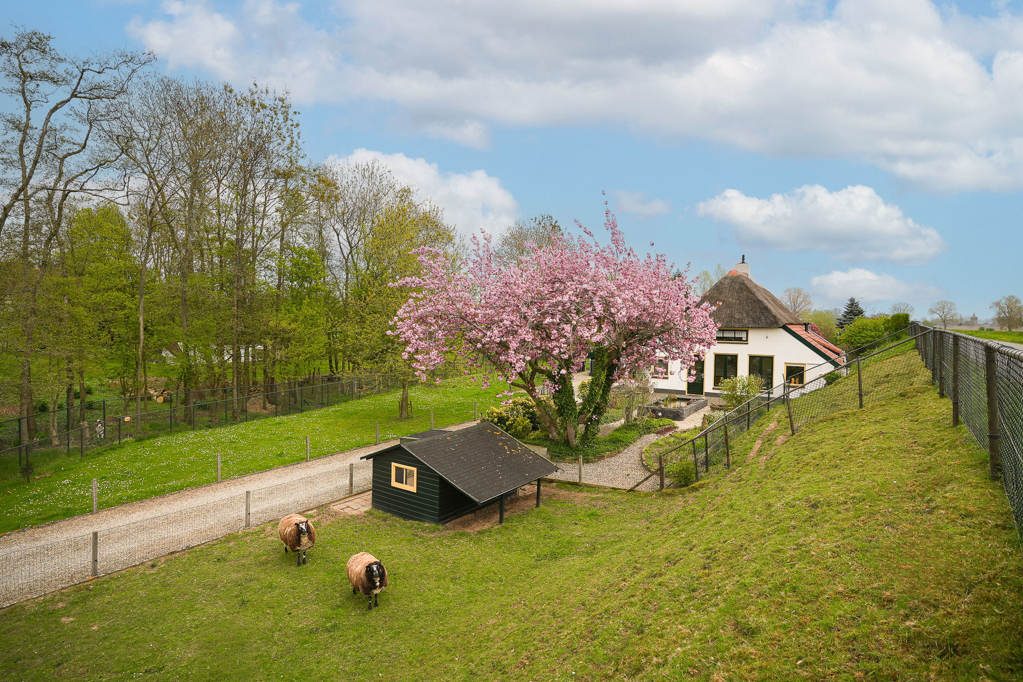 Foto van de Tuut 16, Appeltern