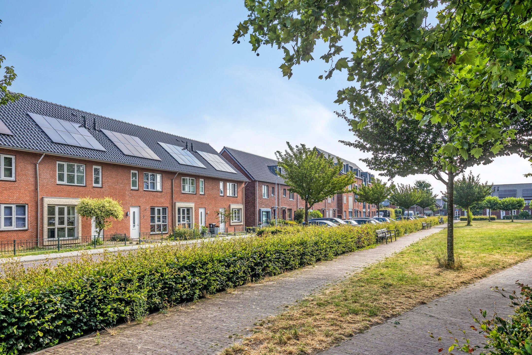 Foto van Dupondius 116, Elst (GE)
