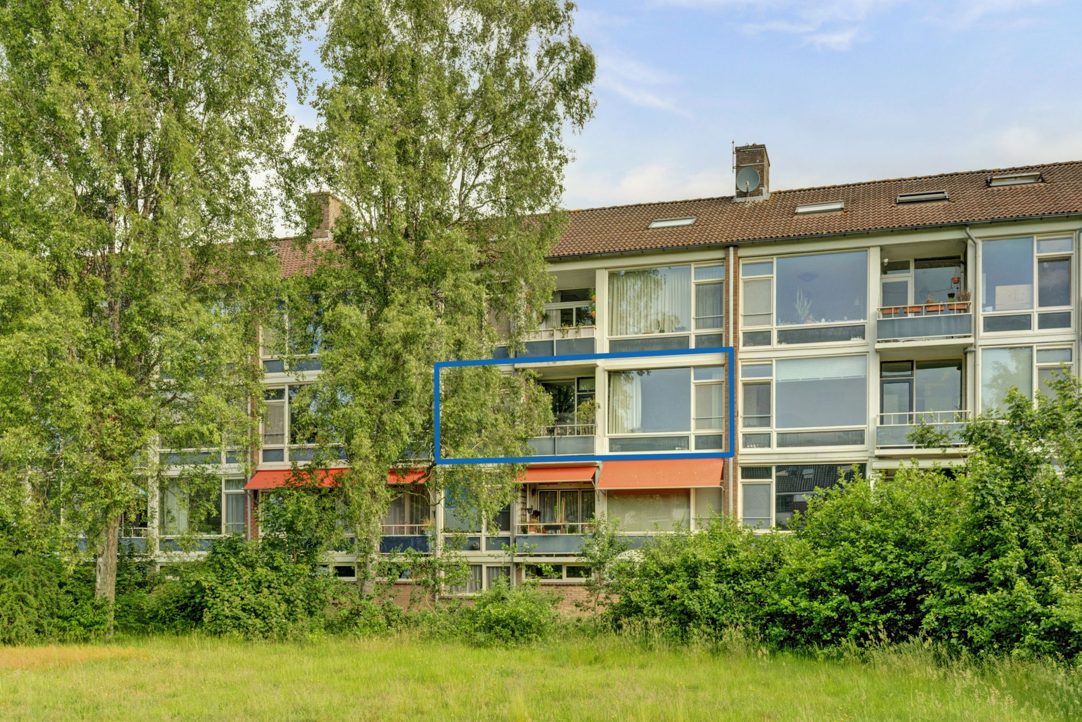 Foto van Mezenlaan 123, Dieren