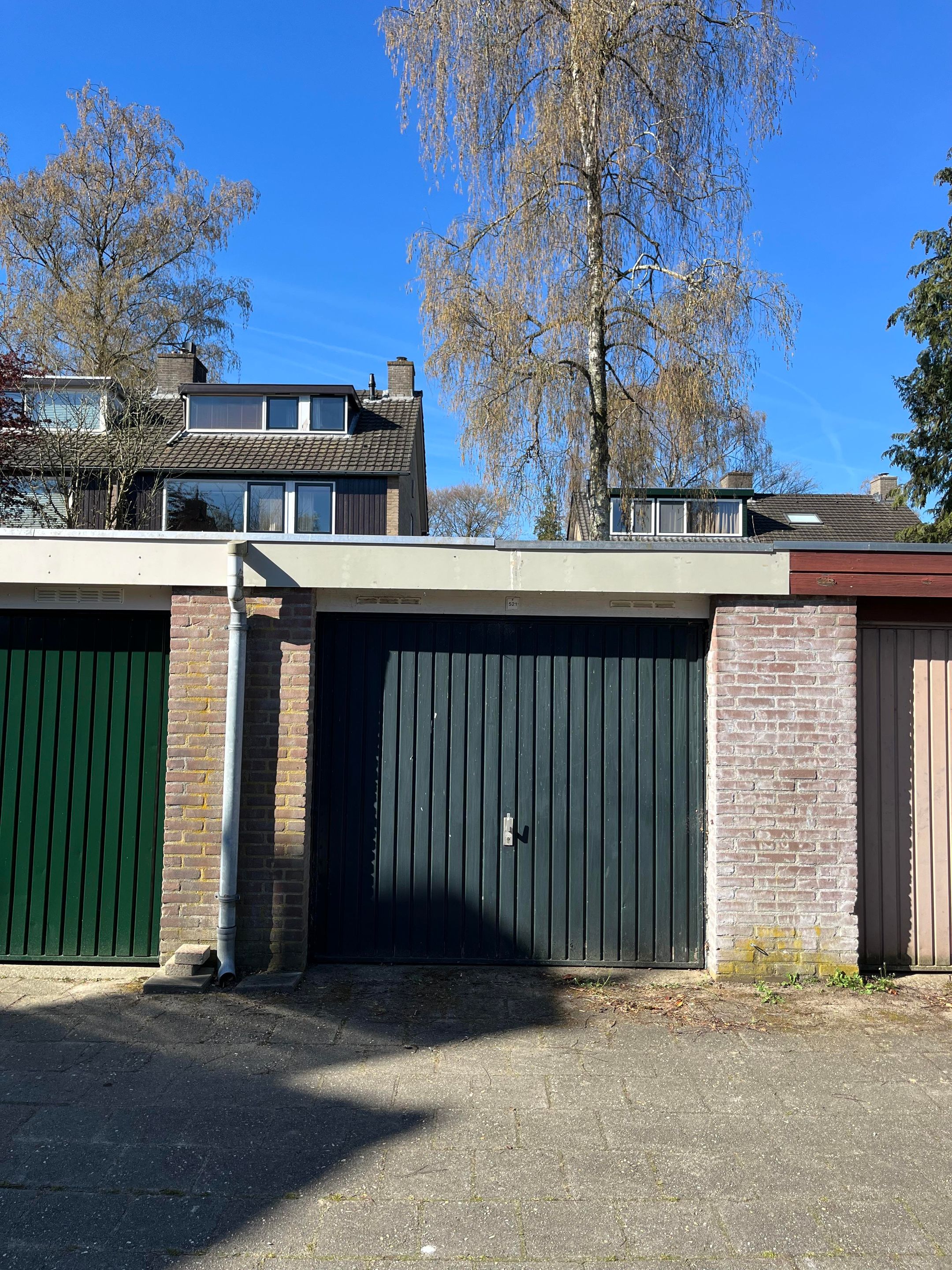 Foto van Eduard van Beinumlaan 521, Dieren