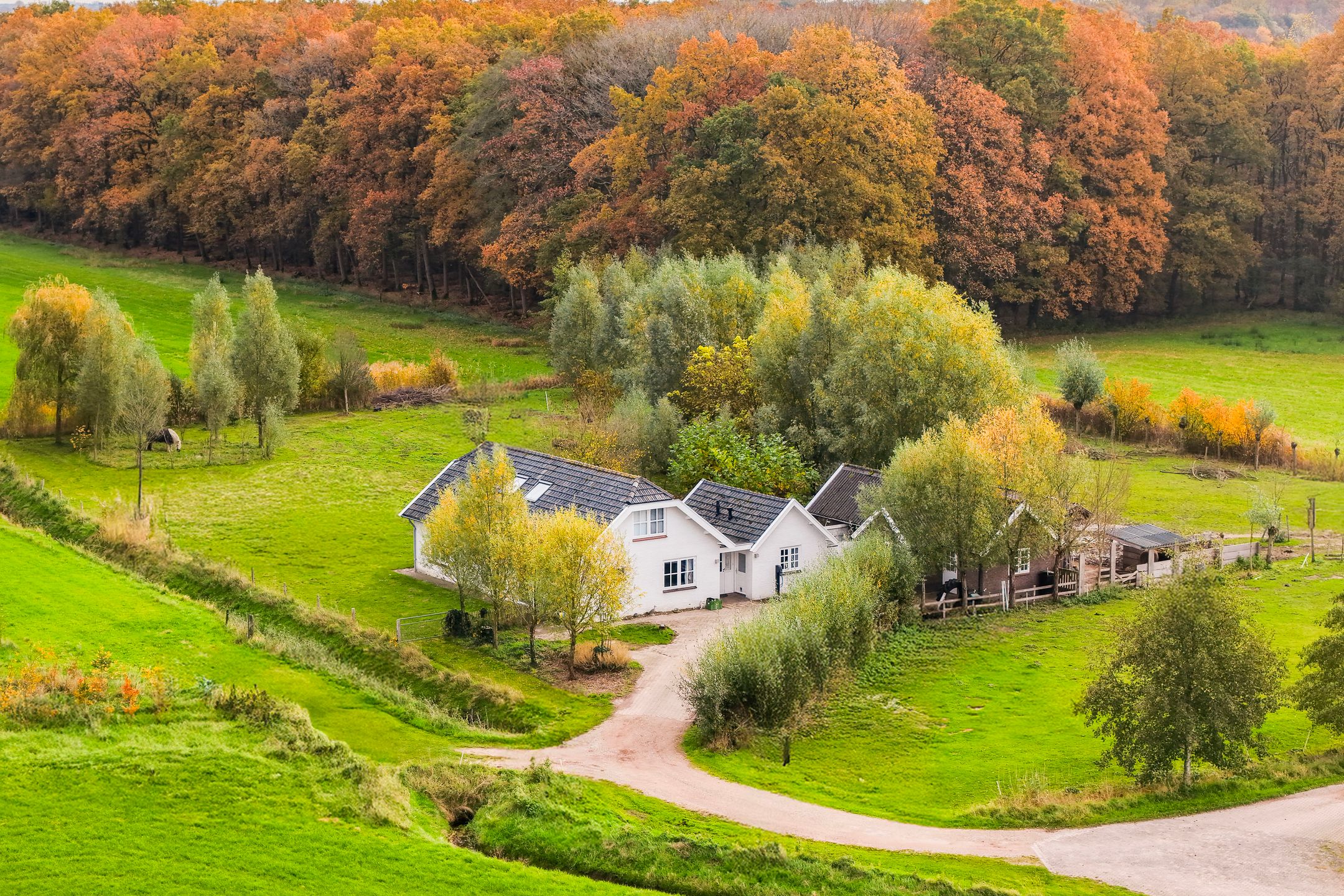 Foto van Hoevesteeg 34, Tonden