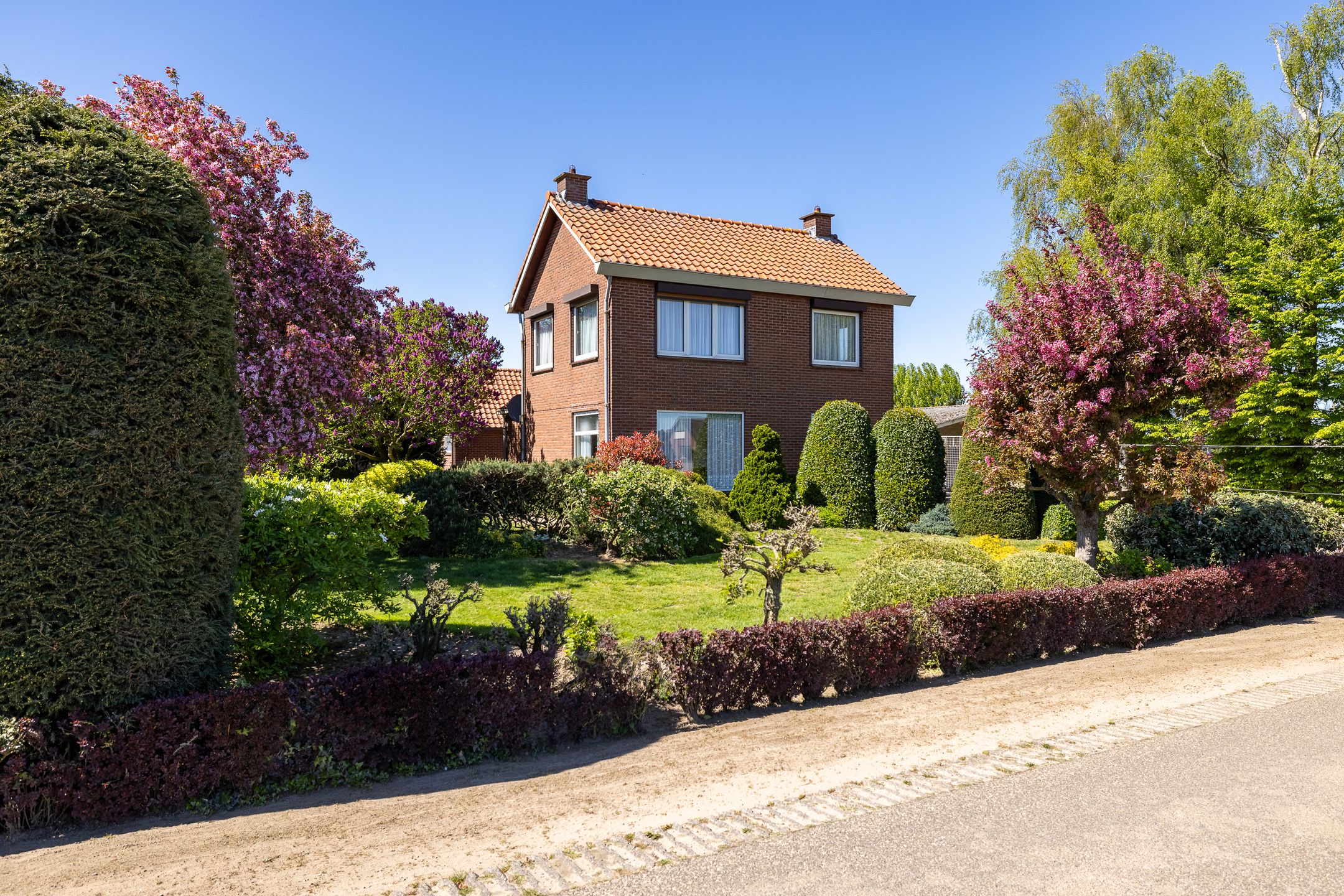 Foto van Rozenpas 3, Kilder