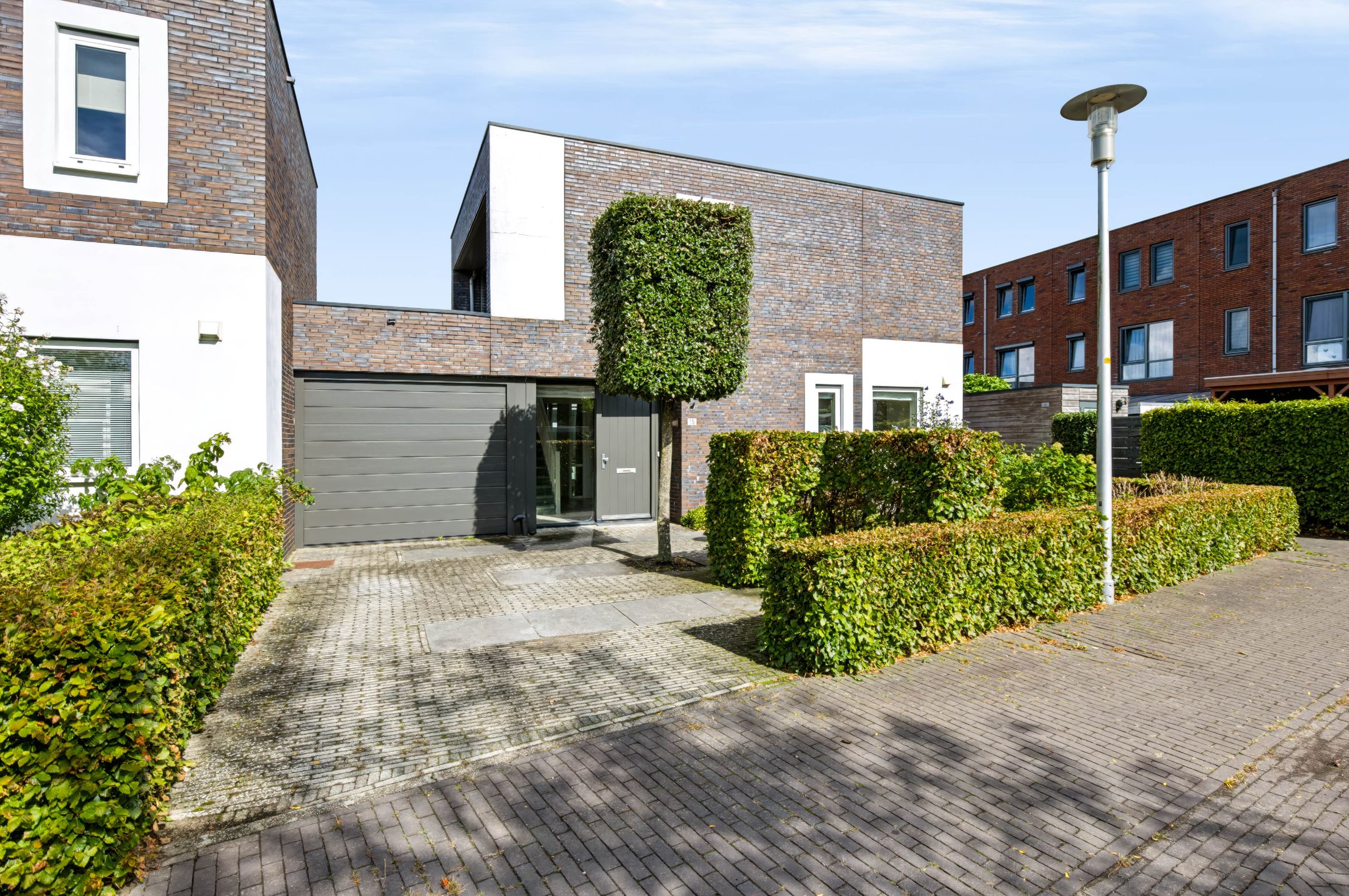 Foto van Citroenvlinder 15, Apeldoorn