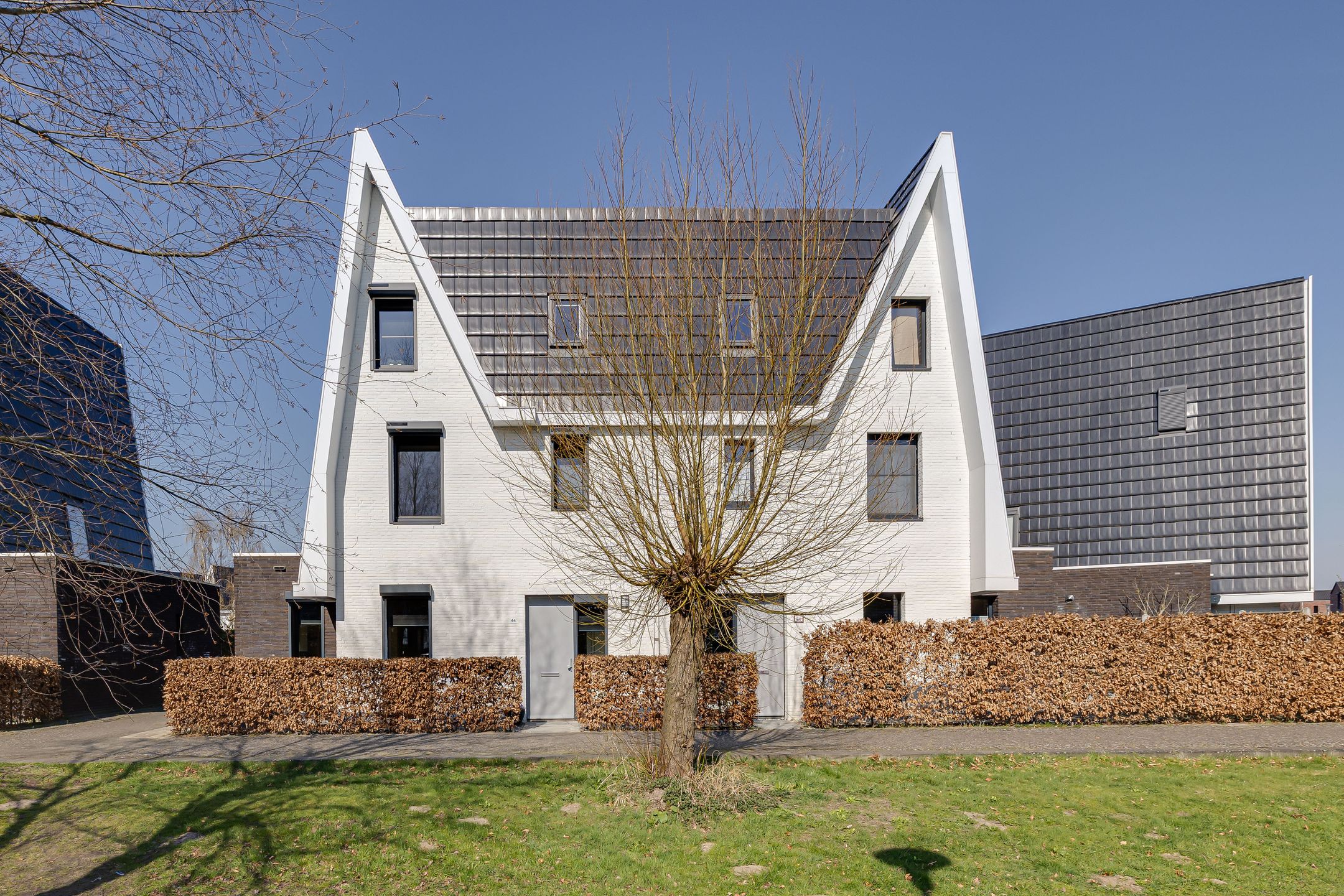 Foto van Boomblauwtje 44, Apeldoorn